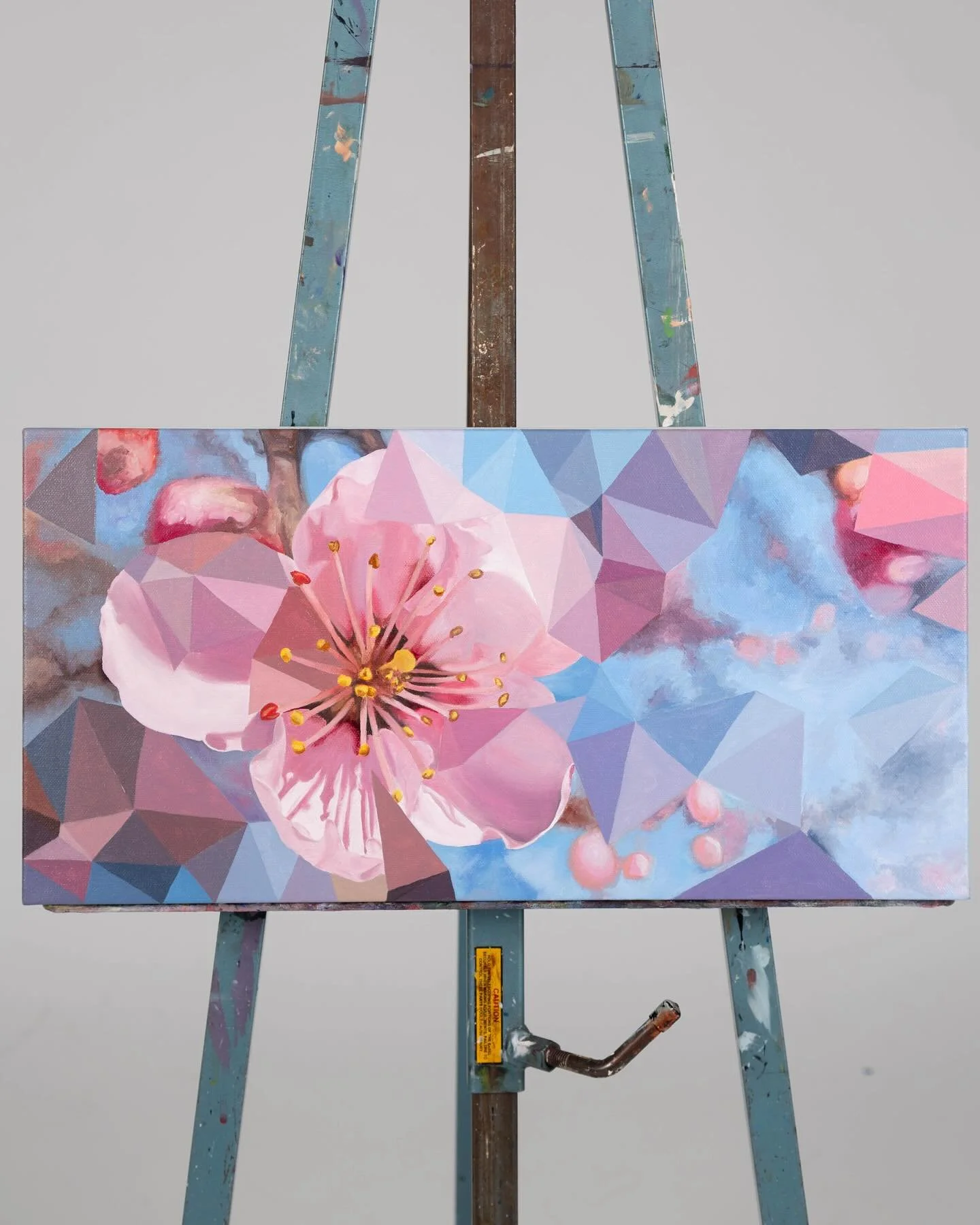 Peach blossom 

Oil on canvas 
10x20
2025

#fineart #colorful #studiotime #paintingprocess #oilpainting #bostonartist #botanicalart #abstraction #contemporaryrealism #creativeprocess #natureinspired #flowerpainting#emergingartist #artwork #blossoms