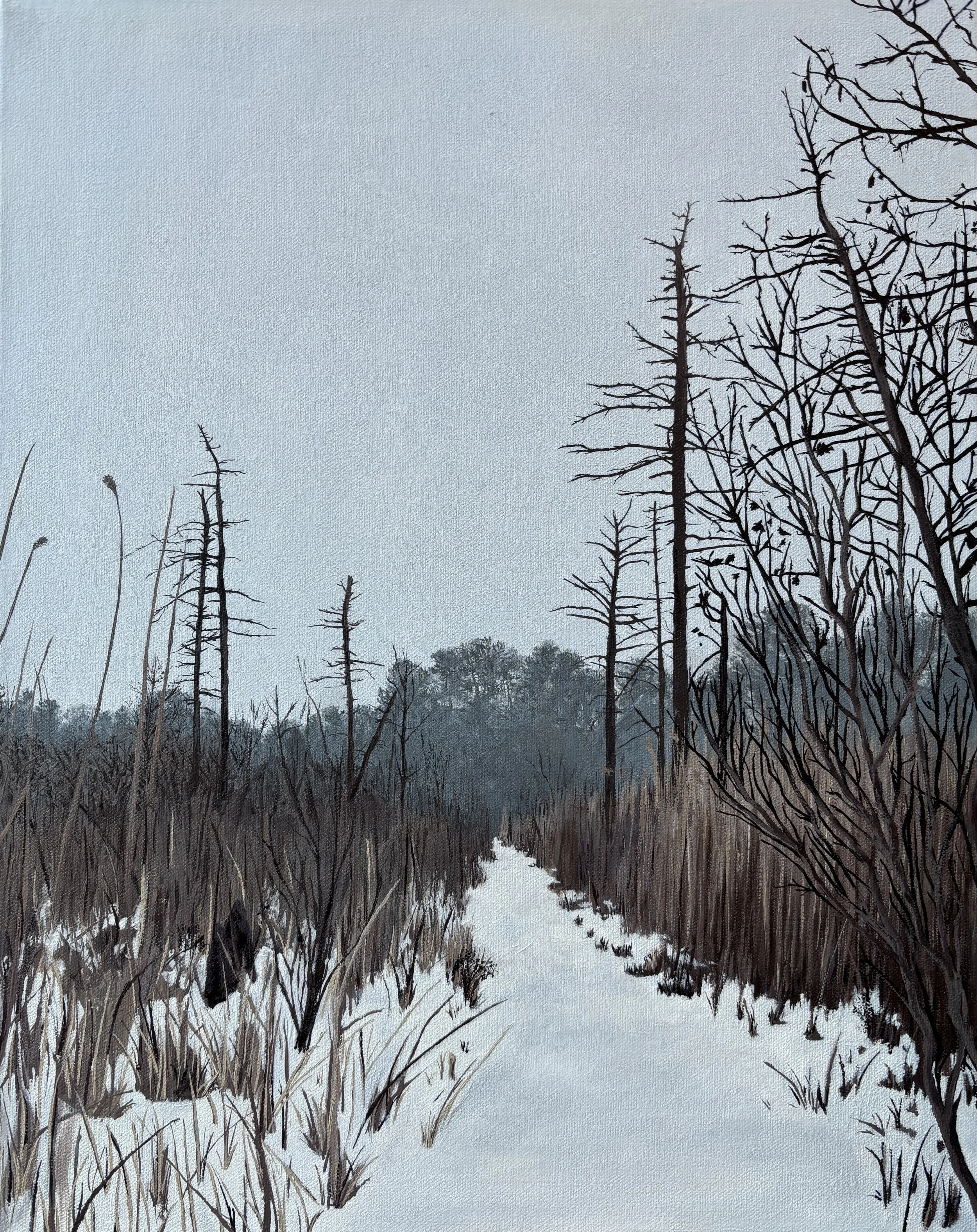 Winter Marsh   20x16", oil on canvas, 2026   $520