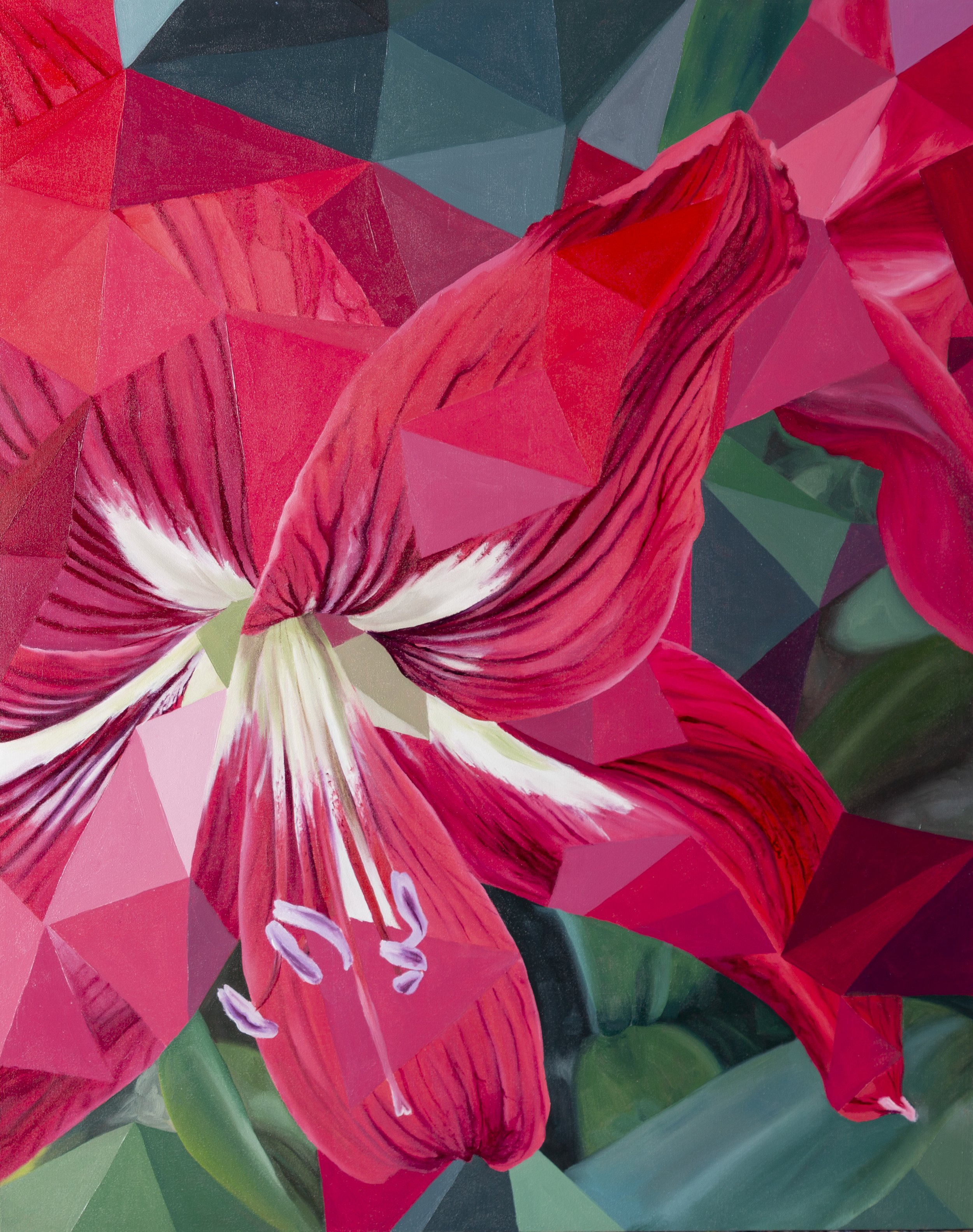 Amaryllis 20x16, oil on panel, 2025