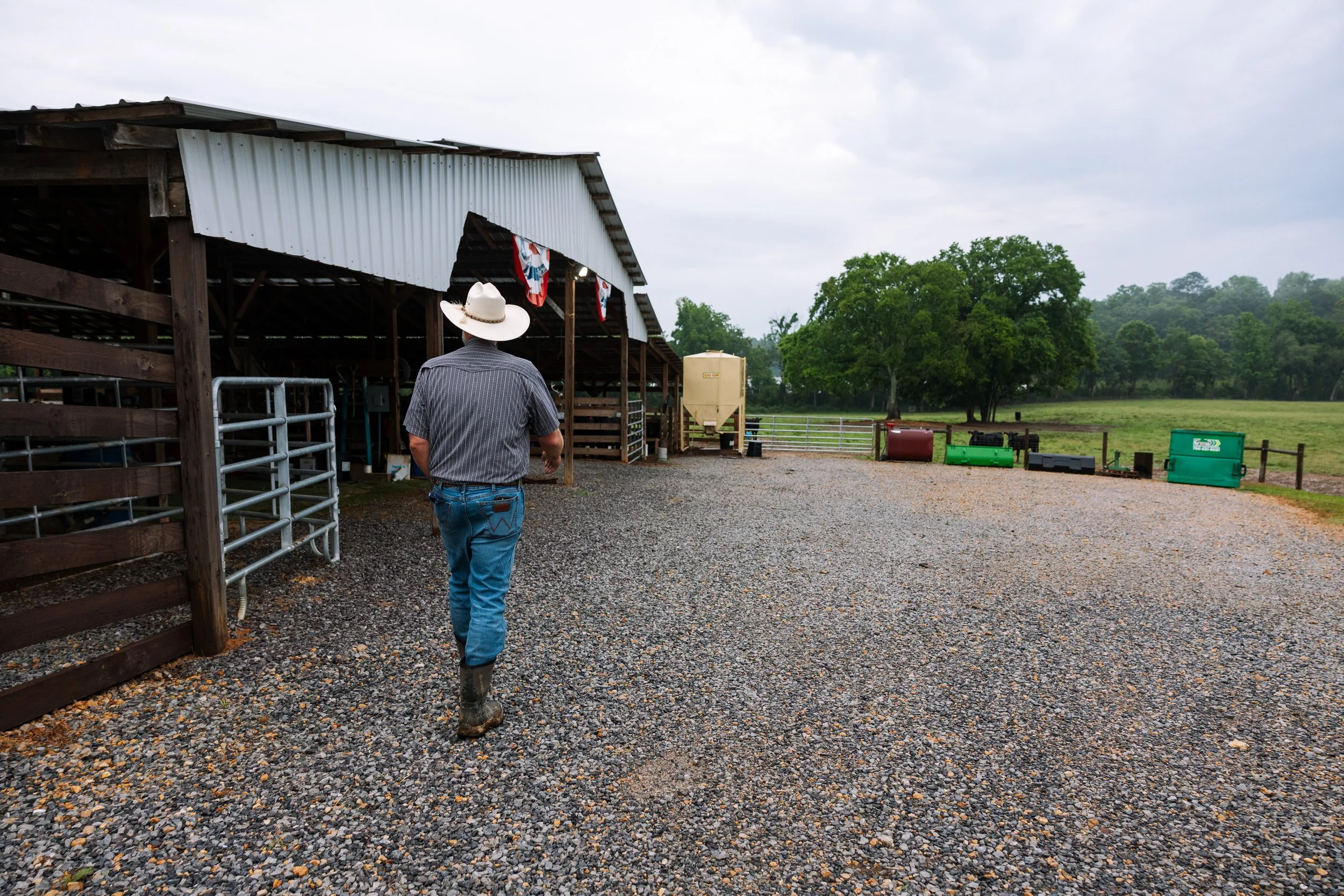 2026.05.26_PittsCattleFarm_TV-7007.jpg