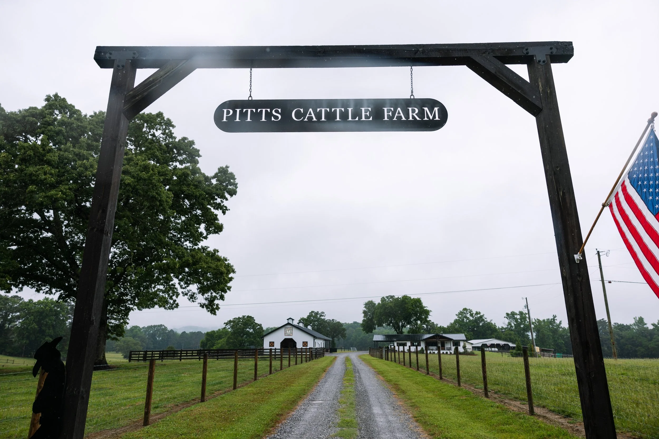 2026.05.26_PittsCattleFarm_TV-7860.jpg