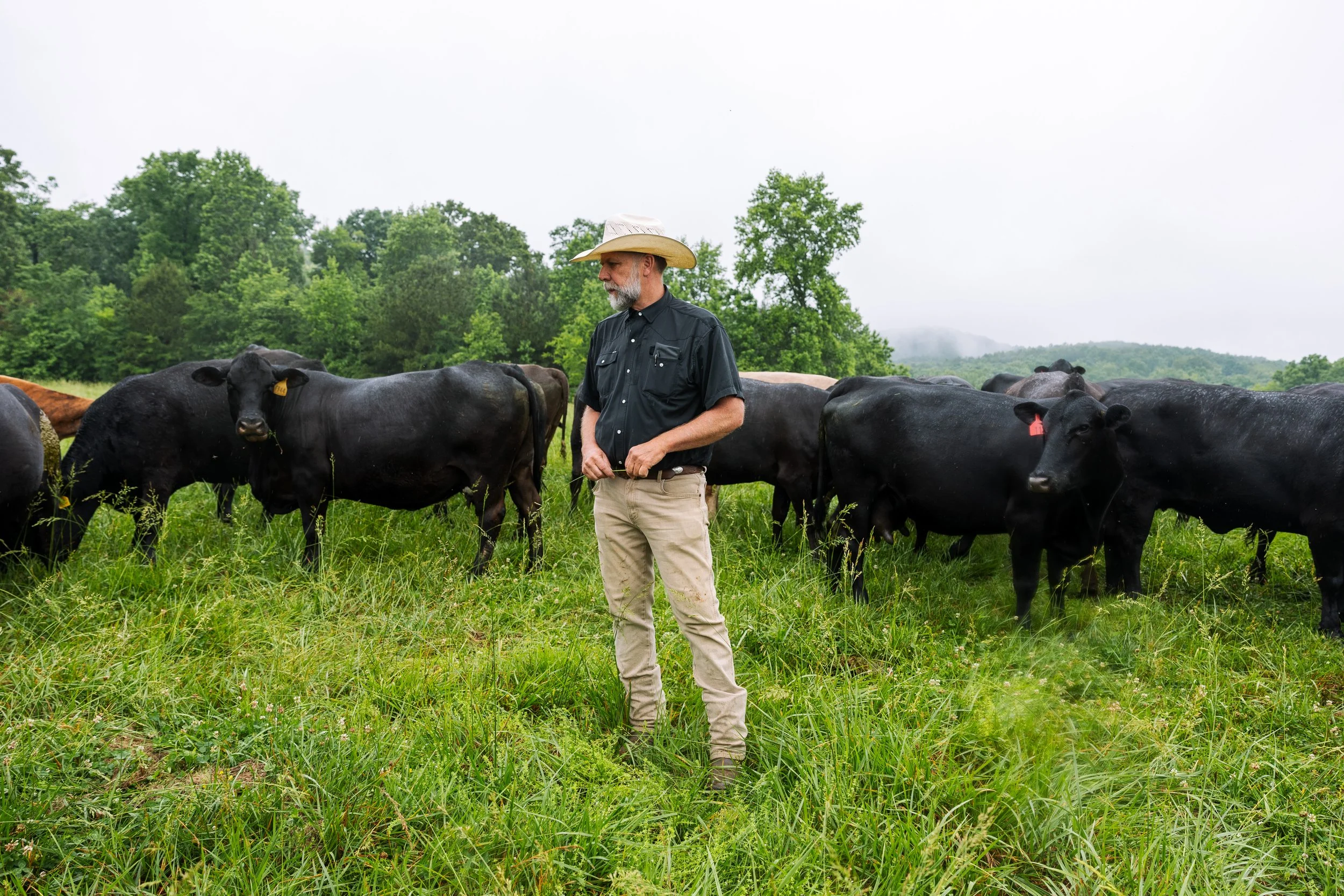 Pitts Cattle Farm