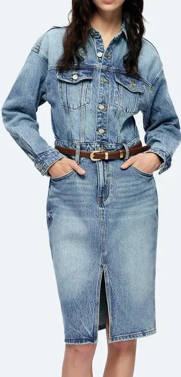 Doris Long Sleeve Denim Shirtdress