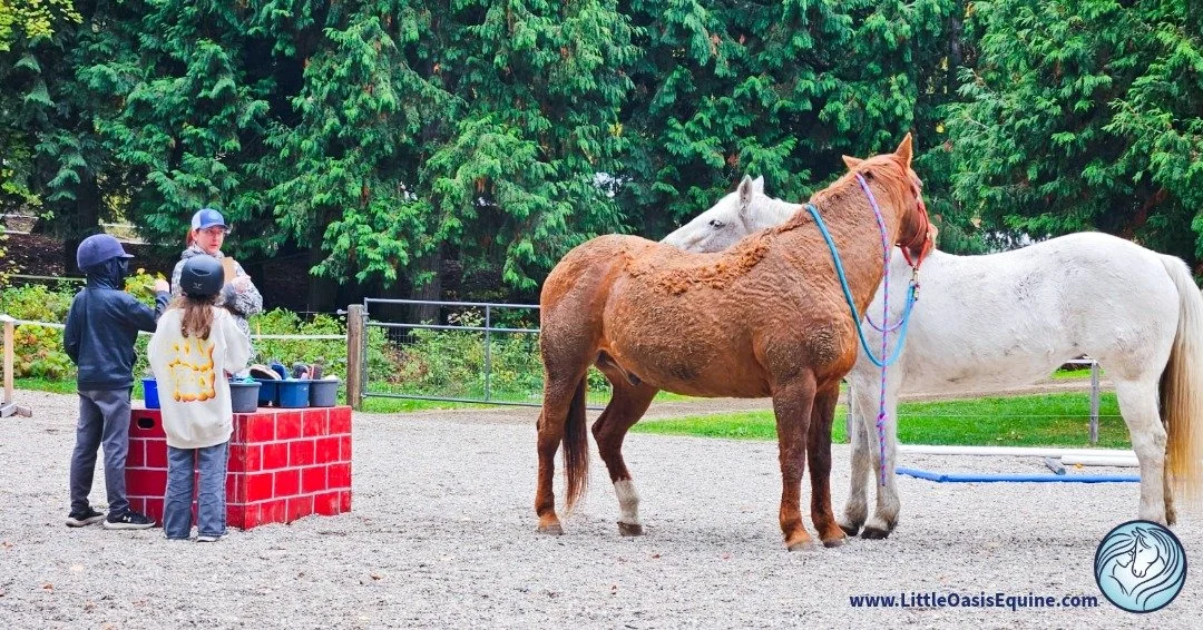 A little moment of 🐴 self-care during our Fall EAL program!
Spirit (our beloved wooly mammoth of a gelding 😍) and Stiletto were in the middle of a task&hellip; but clearly decided a grooming break was more important.

We call that excellent life sk