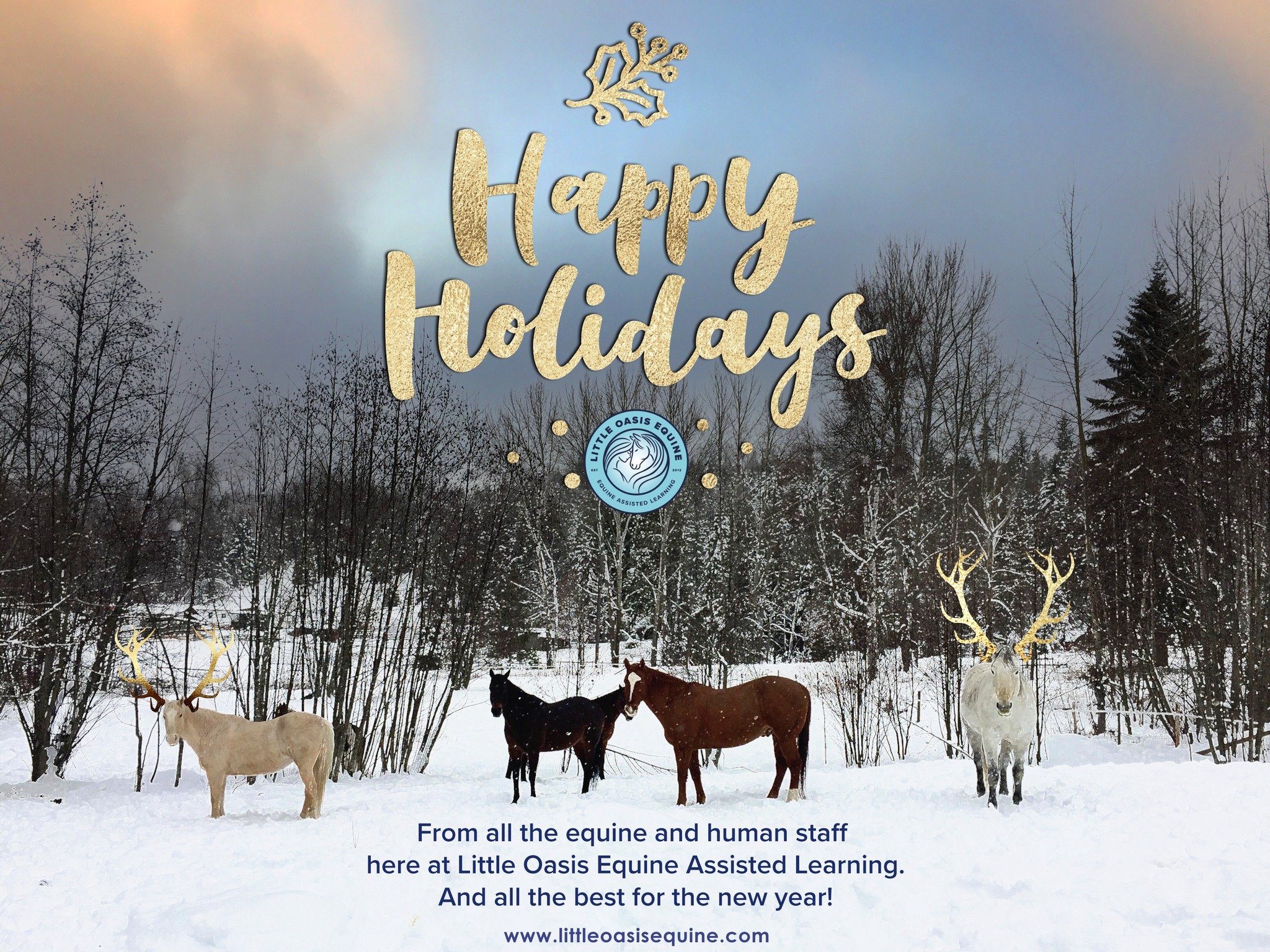 Wishing you peace, connection, and a little bit of horse magic this holiday season.
From all the equine and human staff at Little Oasis Equine Assisted Learning, thank you for being part of our herd this year. 🐴💛

We can&rsquo;t wait to see what th
