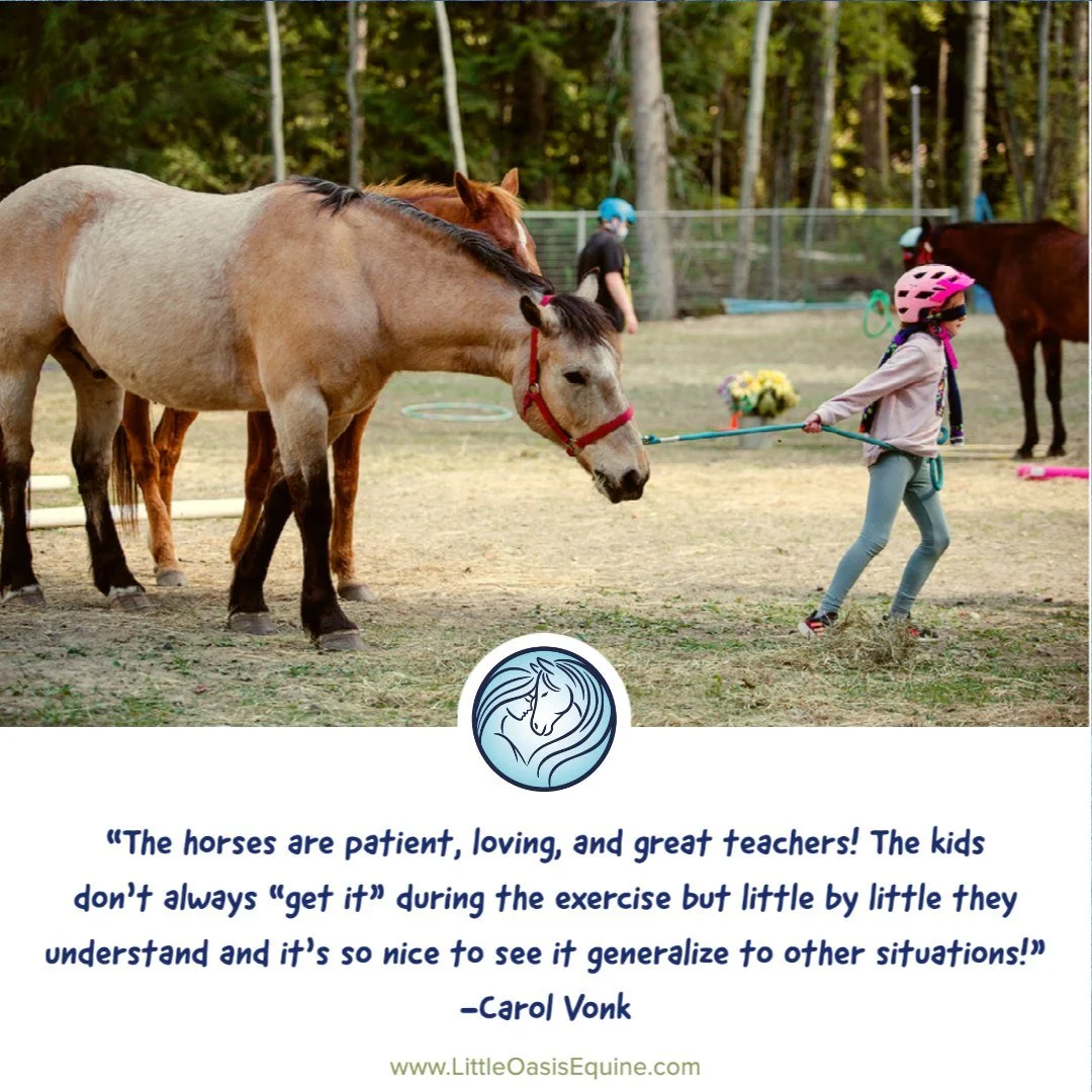 Some kind words about our EAL Youth program 

find out more [link in bio]

#EquineAssistedLearning #HorseWisdom #HealingWithHorses #ConnectionNotCorrection
#HorseTherapy #EALSession #YouthEmpowerment #WinterWithHorses #HerdConnection
#MindfulnessWith