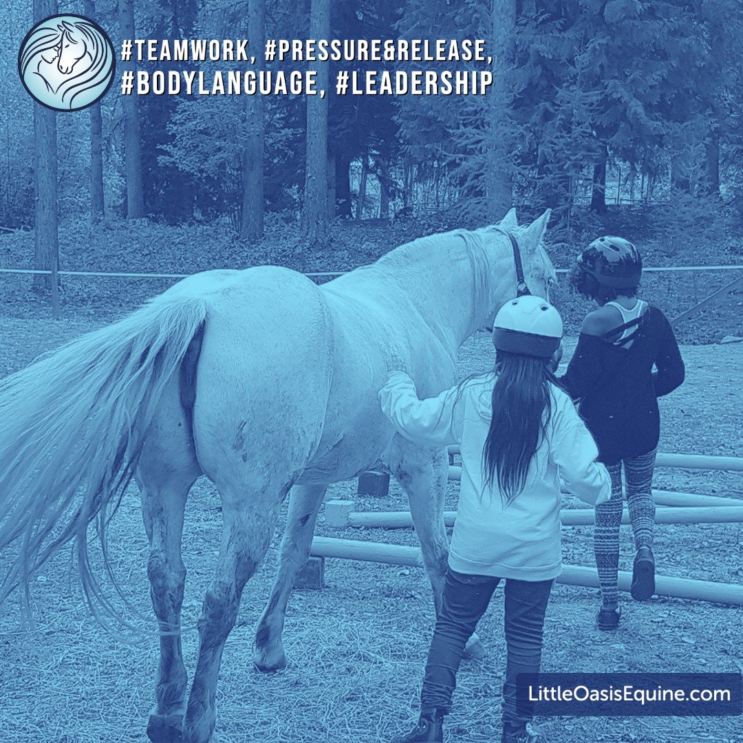 Teamwork makes the dreamwork 🐴🥰

#EquineAssistedLearning #LittleOasisEquine #LearningWithHorses #YouthAndHorses #HorseTeachers
#Teamwork #Leadership #BodyLanguage #PressureAndRelease #BuildingConfidence
#ConnectionThroughHorses #EALPrograms #Empowe