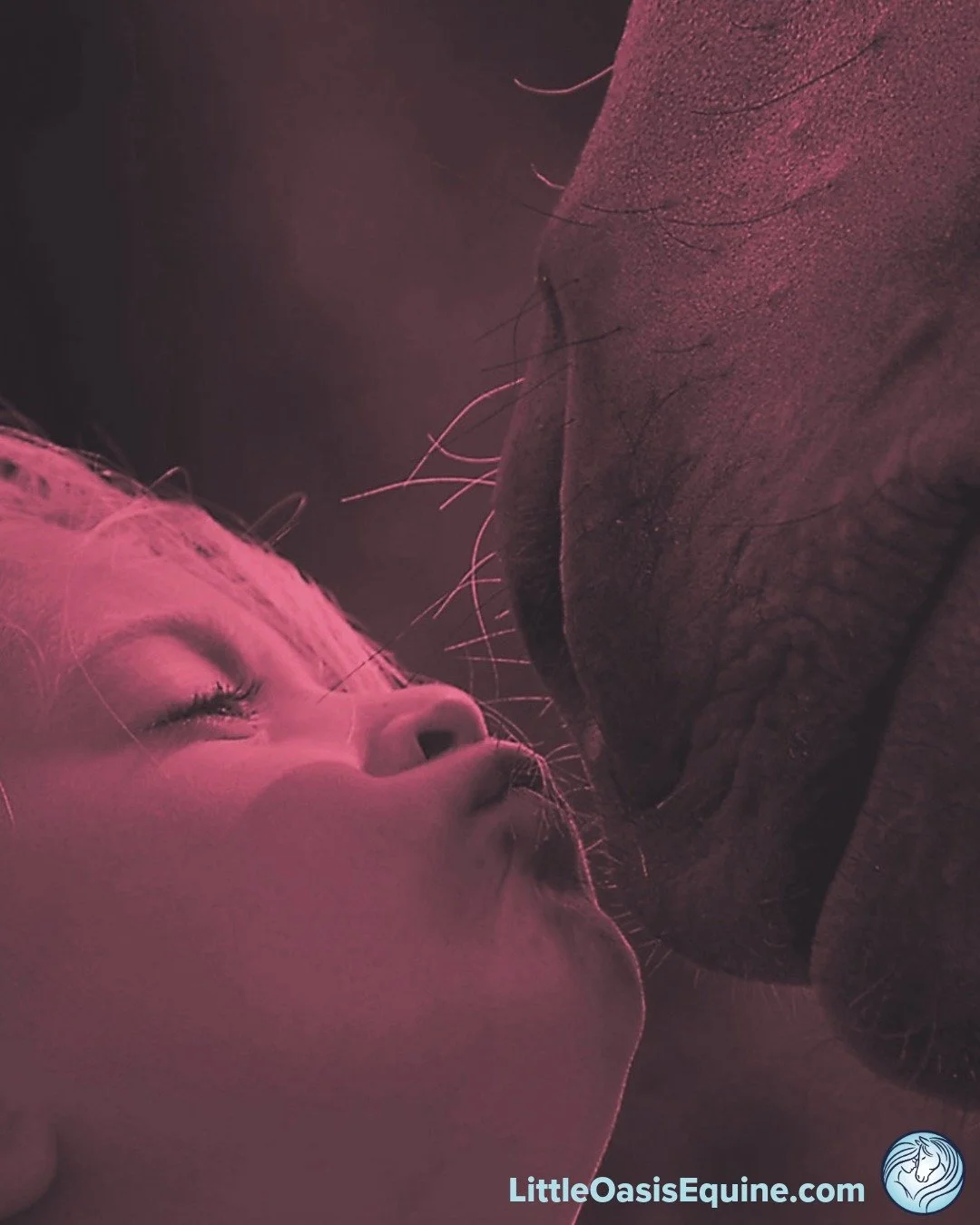 This is the love that resulted in the vision -- living and working with horses to help myself, people and horses heal. 🙏🐴👀🥰

You can watch an interview by Shaw with my story here: https://youtu.be/ILpT61tS2dQ

There is still space in the upcoming