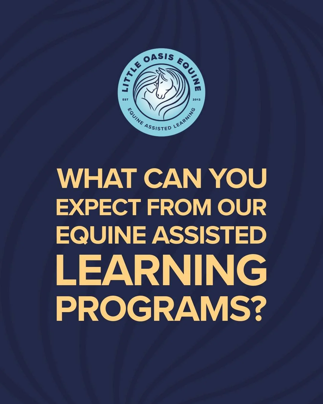 What can kids expect from Youth EAL sessions? 🐴🌱

 🐴 A space where they feel seen, supported, and safe to be themselves.
 🐴 A place to build confidence, emotional awareness, communication skills, and  leadership &mdash; through hands-on experienc