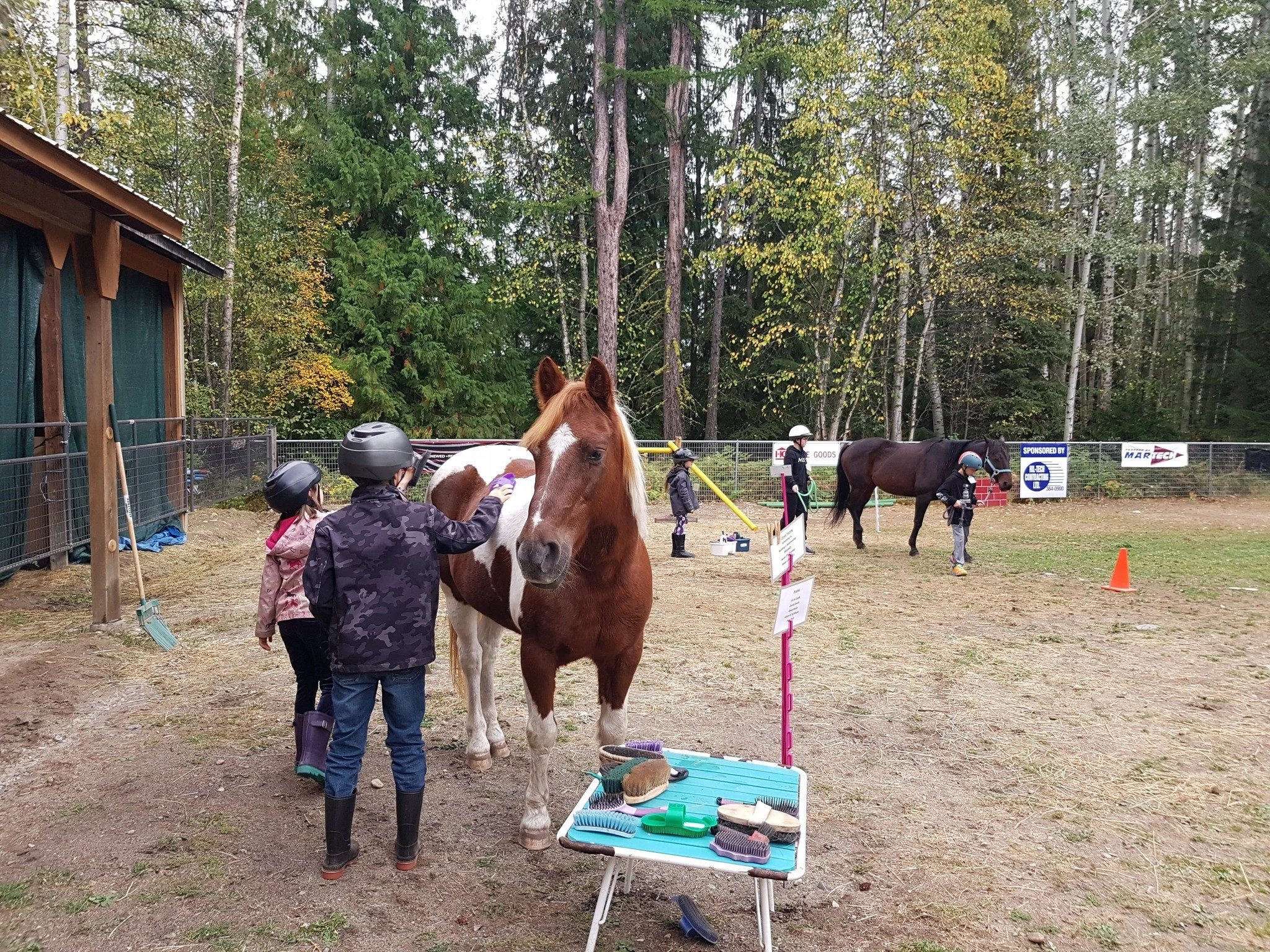 Flashback Thursday to the grooming station. 🐴 

So many skills are practiced here&hellip; teamwork, communication, and learning to pay attention to what the horse is telling us. Participants learn to listen to each other and to the horse, noticing h