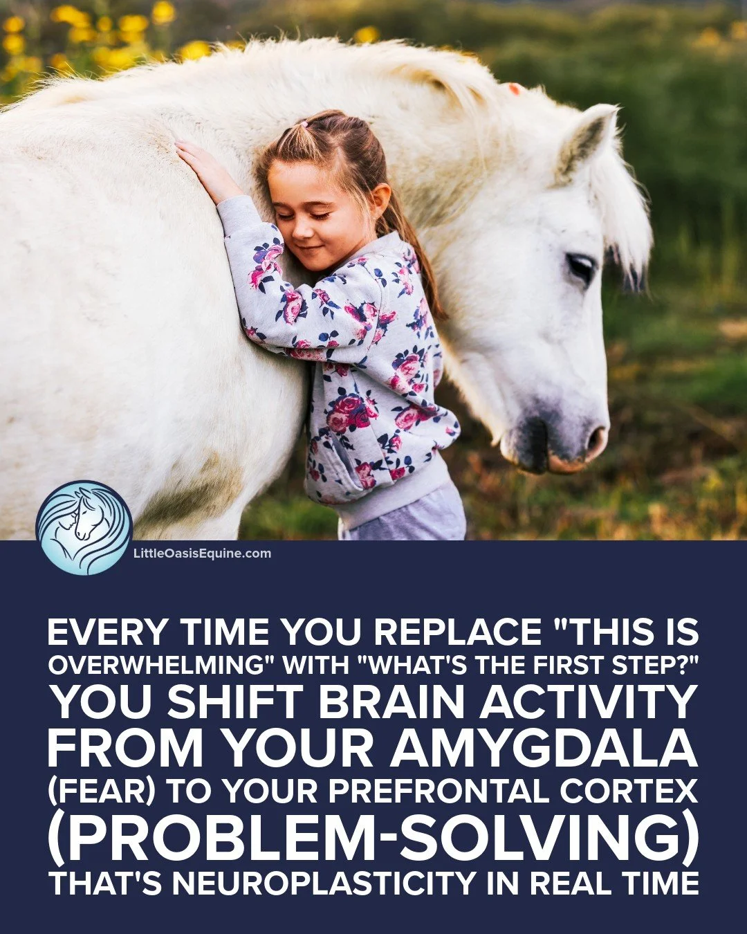 When things feel overwhelming&hellip; horses help us pause. 🐴
In EAL, youth learn to shift from &ldquo;this is too much&rdquo; to &ldquo;what&rsquo;s the first step?&rdquo;
Not just thinking it &mdash; feeling it, in real time.

That&rsquo;s where r