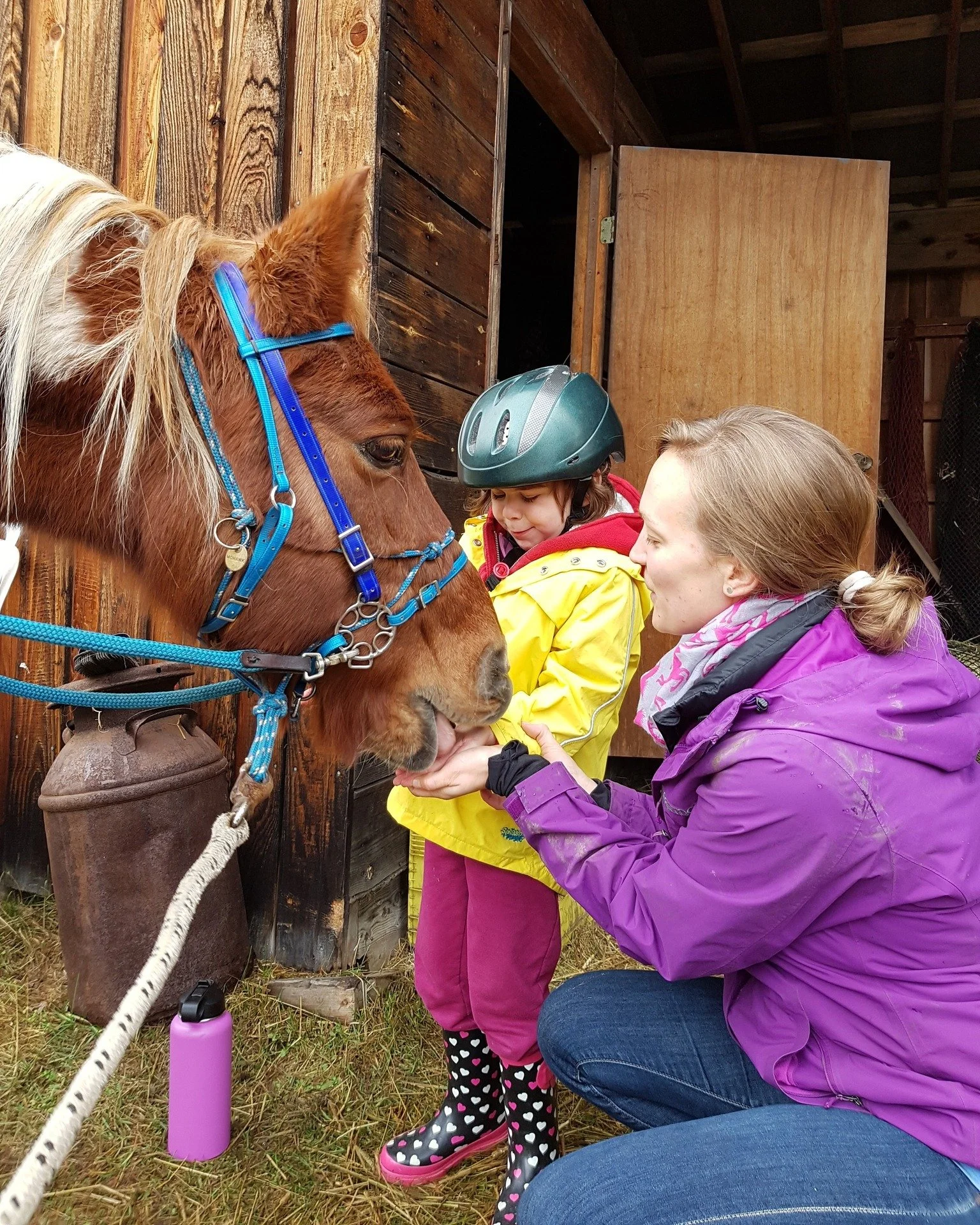 #flashbackthursday❤️ 
Mohawk doing his magic. 🐴🥰

Curious about what we do here at Little Oasis EAL? 
Everything you need to know is on our website but especially the most common Frequently Asked Questions [link in bio]

#FlashbackThursday #LittleO
