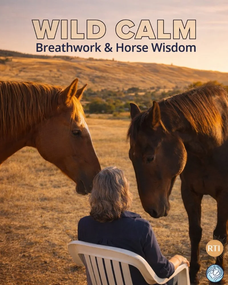 Wild Calm: Breathwork &amp; Horse Wisdom