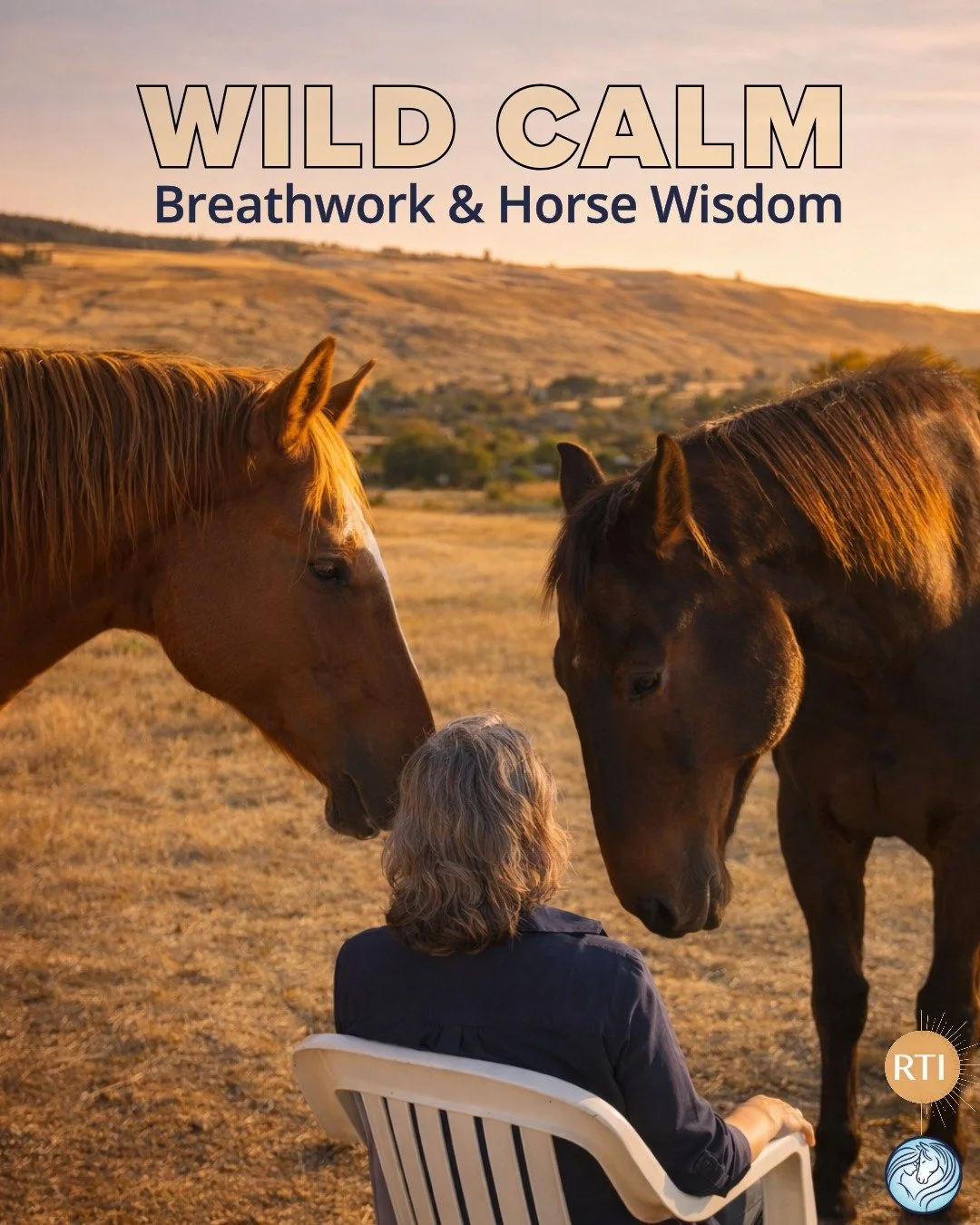 Wild Calm: Breathwork &amp; Horse Wisdom 🌬🐴
Step into a quiet evening space where breath and horses guide you back to yourself.

These gentle sessions combine conscious connected breathwork and the grounded presence of horses to help you unwind, re