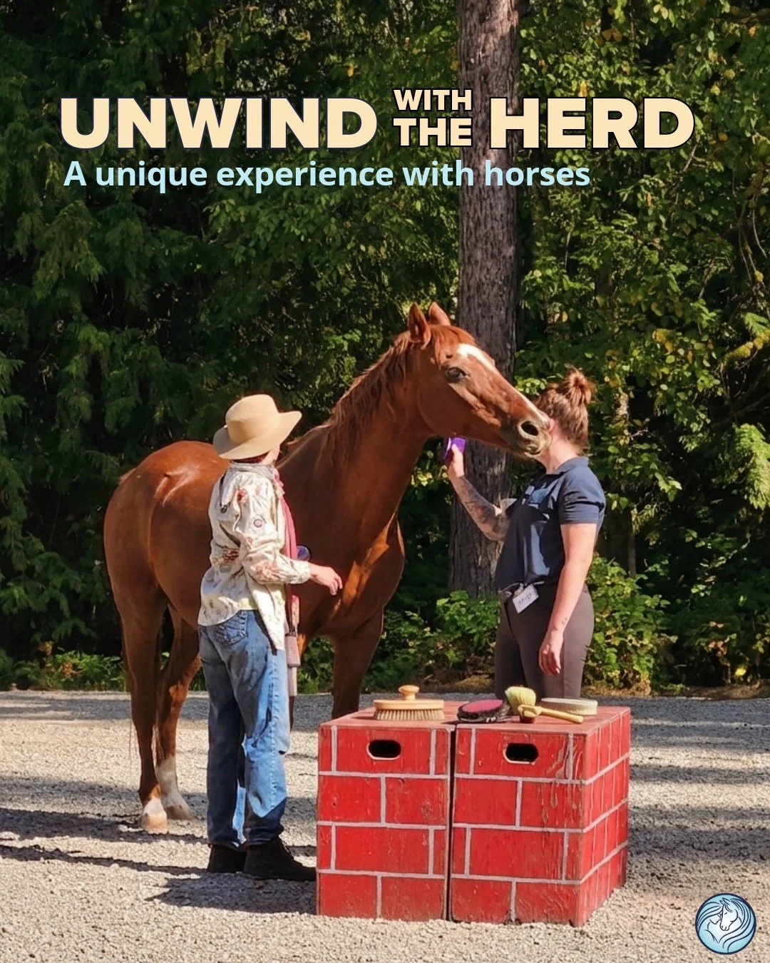 Unwind with the Herd 🐴
Looking for something a little more relaxed, hands-on, and fun?

Join us for an evening of equine-assisted learning where you&rsquo;ll explore communication, trust, and connection alongside the herd in a calm, welcoming settin