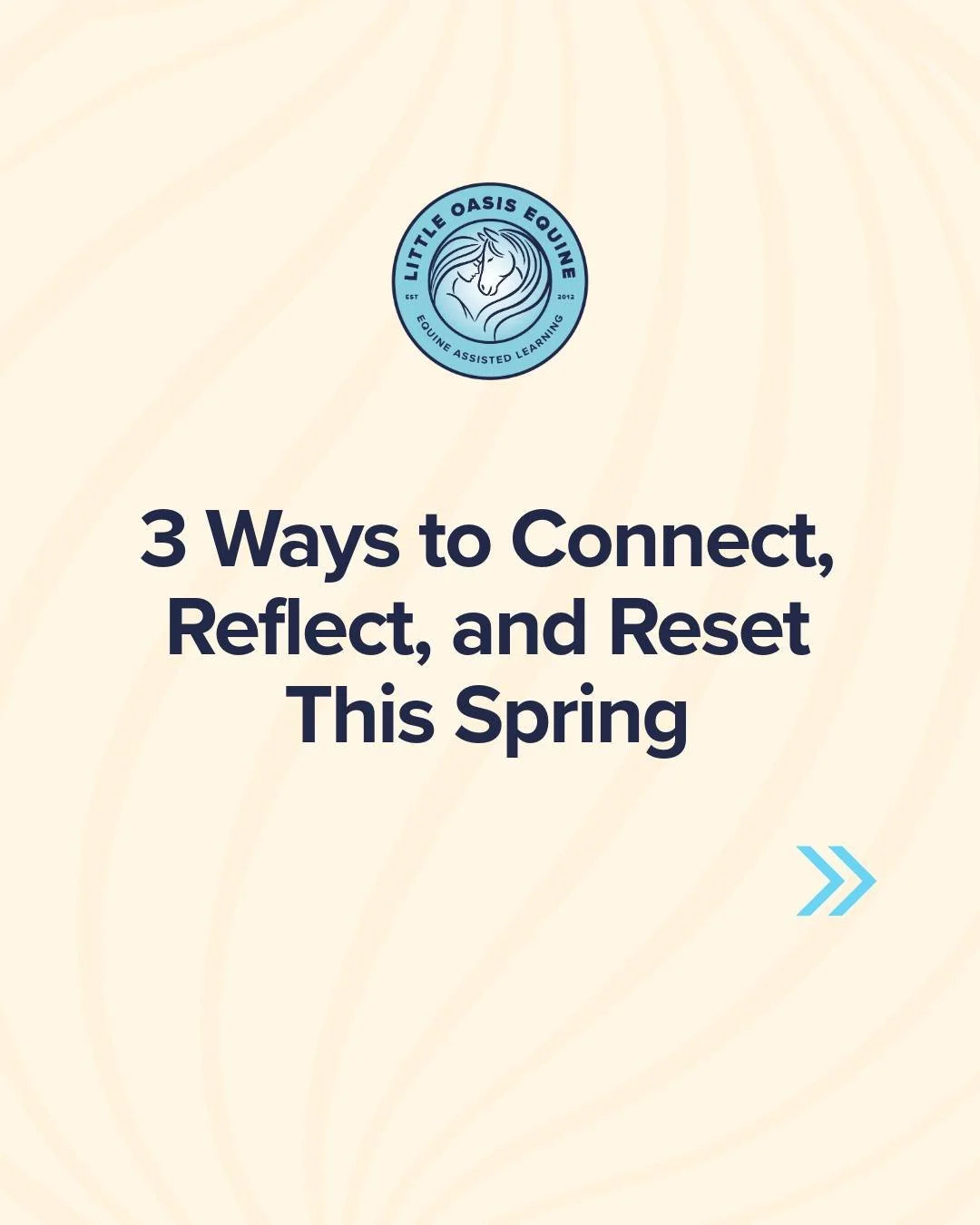 3 ways to connect, reflect, and reset this spring 🐴

We&rsquo;re excited to share three unique adult experiences at Little Oasis (rural Trail) &mdash; each offering a different way to connect with yourself, others, and the herd.

Whether you&rsquo;r