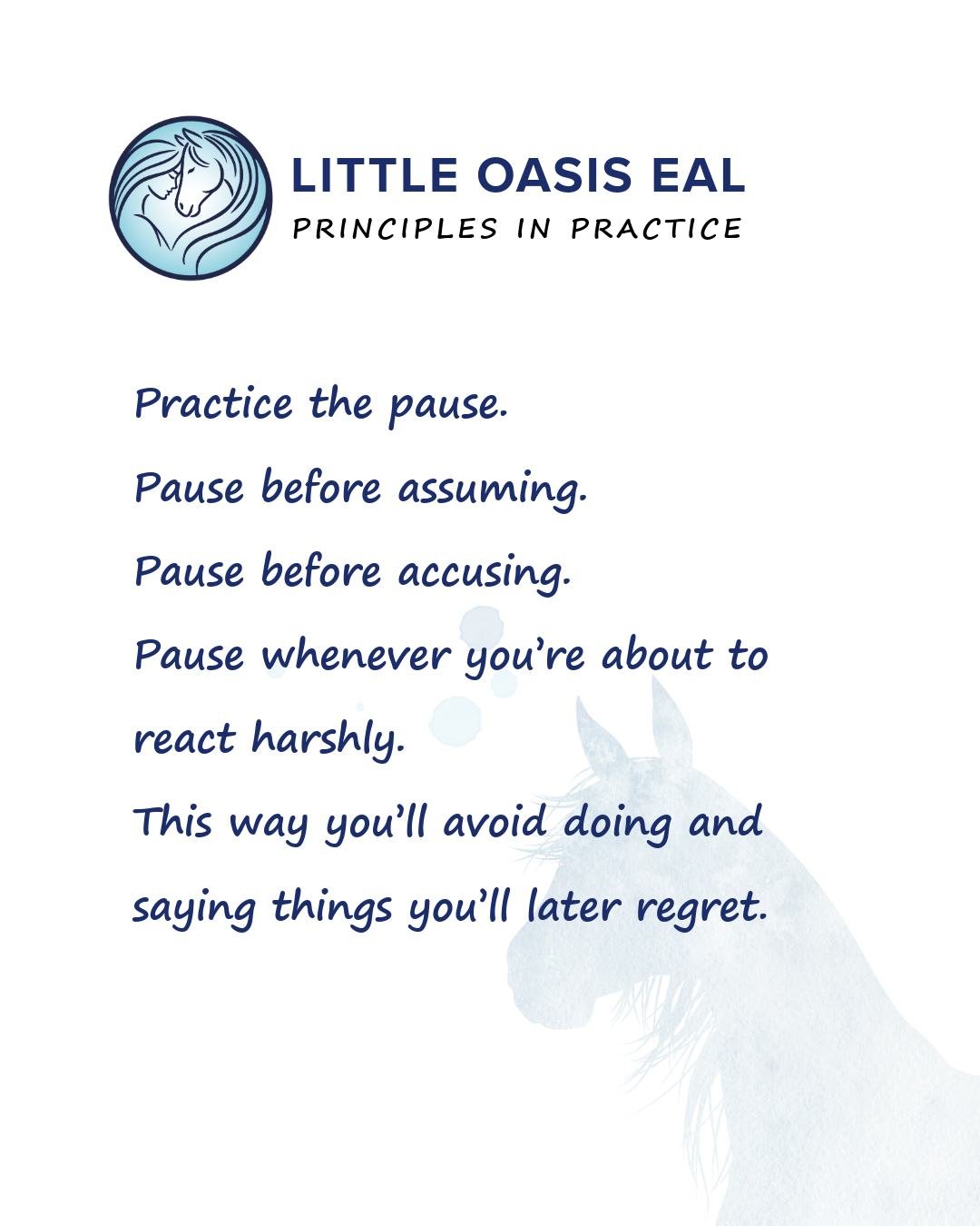These are principles we try to practice here on the farm and with all of our program participants&hellip; 🐴💛
Honestly, not a bad guide for life in general.

#LittleOasisEAL #PracticeThePause #EquineAssistedLearning #MindfulLiving #EmotionalRegulati