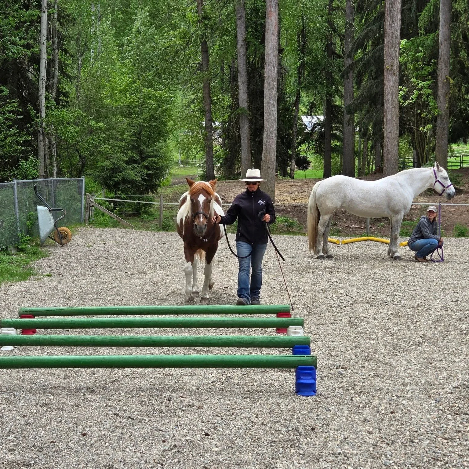 A meaningful professional development day for our team at Little Oasis Equine Assisted Learning 🐴✨

A huge thank you to Adiva Murphy Horsemanship for guiding us through an incredible day focused on assessing the emotional and physical readiness of o