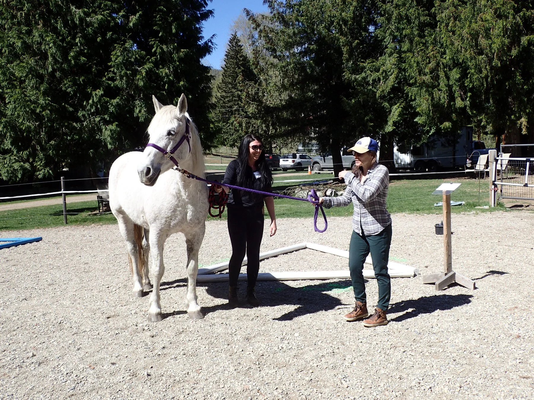 We had a great day with the team from  @kcds_exploring_careers  out at the farm for some Leadership Development work with the horses 🐴✨

The group took part in a couple of different team challenges where they had to work together to guide the horses