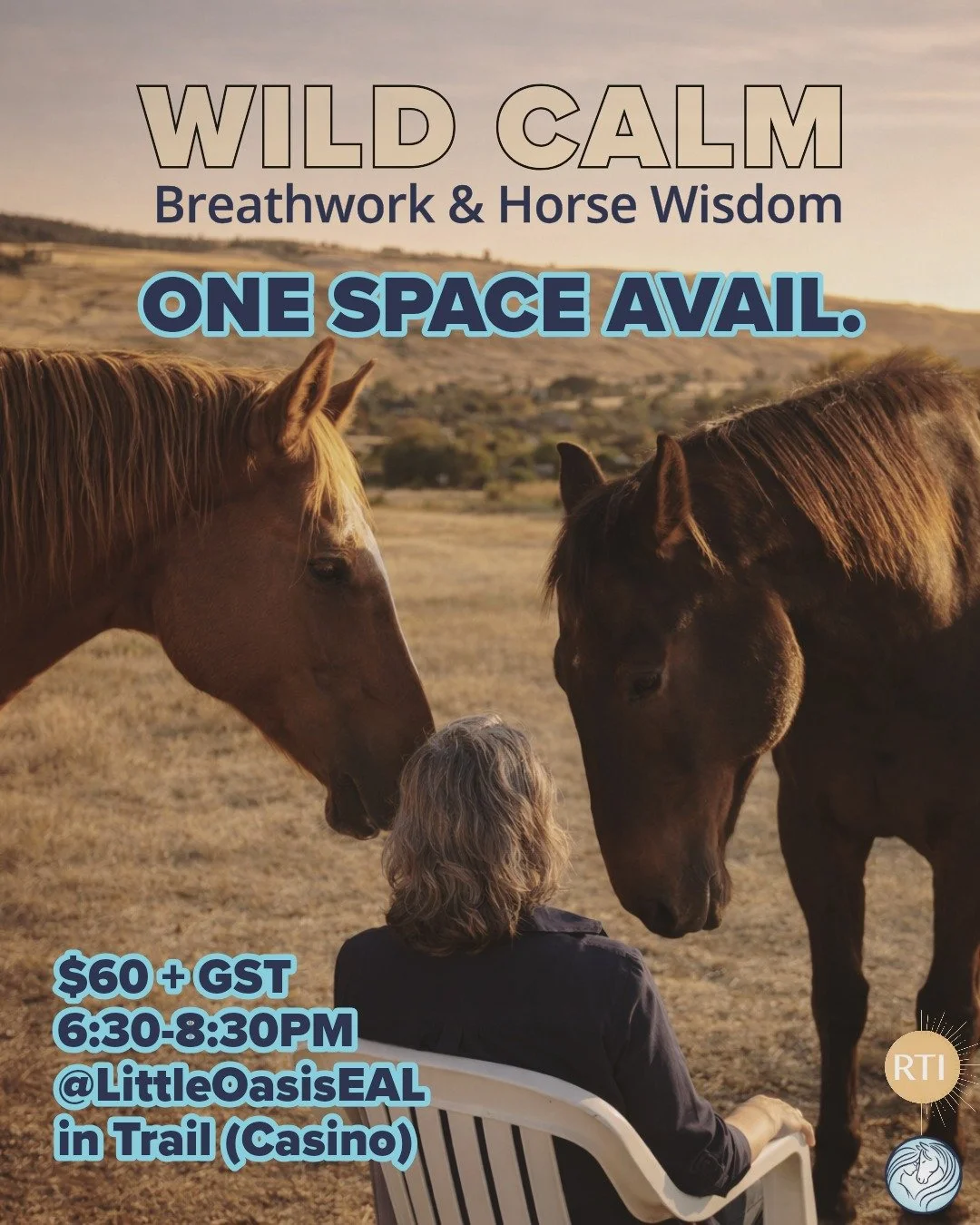 **ONE SPACE HAS OPENED UP!**

Wild Calm: Breathwork &amp; Horse Wisdom 🌬🐴
Step into a quiet evening space where breath and horses guide you back to yourself.

These gentle sessions combine conscious connected breathwork and the grounded presence of