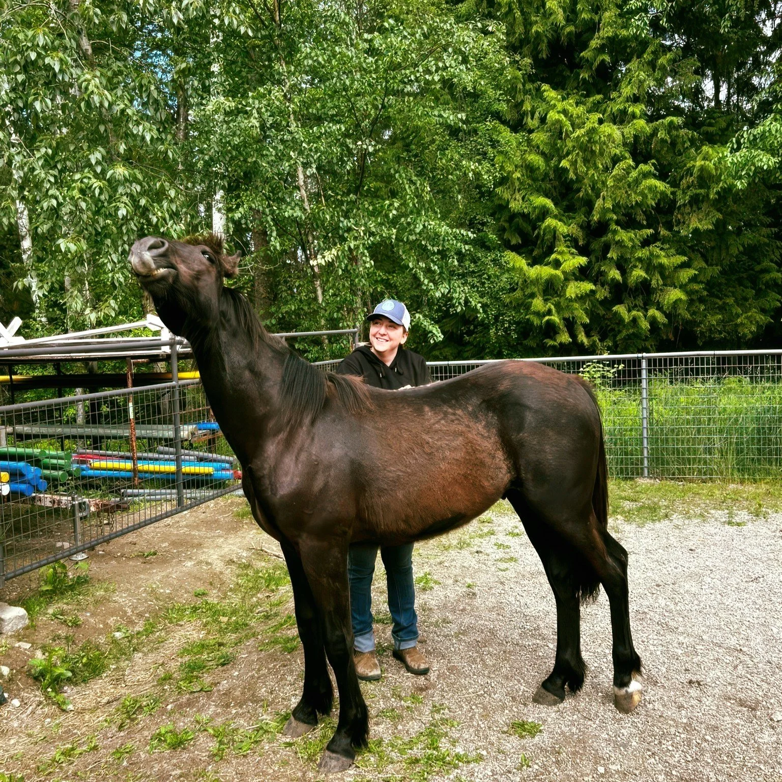 Our (not so little anymore) colt Monty and Miguel @migggggggs enjoying some skritches 🐴🥰

I THINK he'd enjoying it? 😅

#horselove #horselover #littleoasiseal #casinobc #trailbc #equineassistedlearning