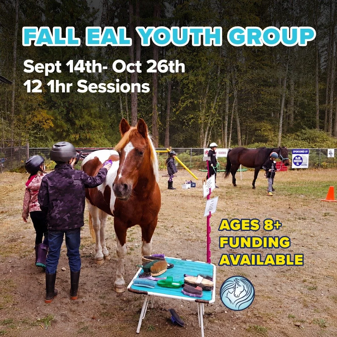 Still lots of space in the fall Equine Assisted Learning Youth Group program at Little Oasis EAL in Casino (rural Trail).
BEGINS SEPT 14TH.

🥰Funding is available
🙋AGES 8+

This program is perfect for after-school decompression! Gets the kids  outs