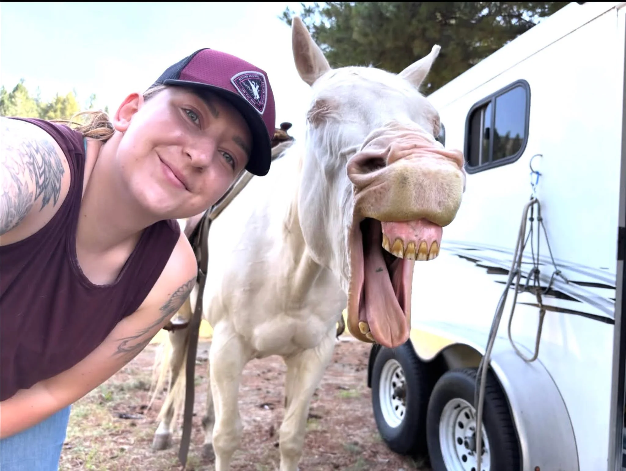 Bl&uuml; is very clear about how she's feeling... never have to wonder with this girl!
Time for bed 😅

Thanks for sharing Miguel.

#HorsePersonality #HorseHumour #SleepyHorse #MareLife #LifeWithHorses #KootenayHorses
