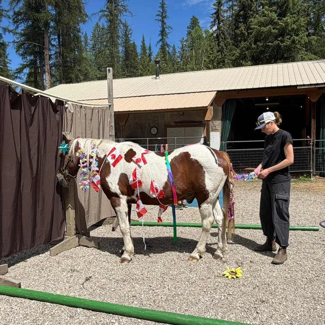 Just some of the fun and weird things we do here at Little Oasis Equine assisted learning
Mohawk in his ever patient self really does enjoy being decorated lol

 #LOLmoments #lolmomentsdaily