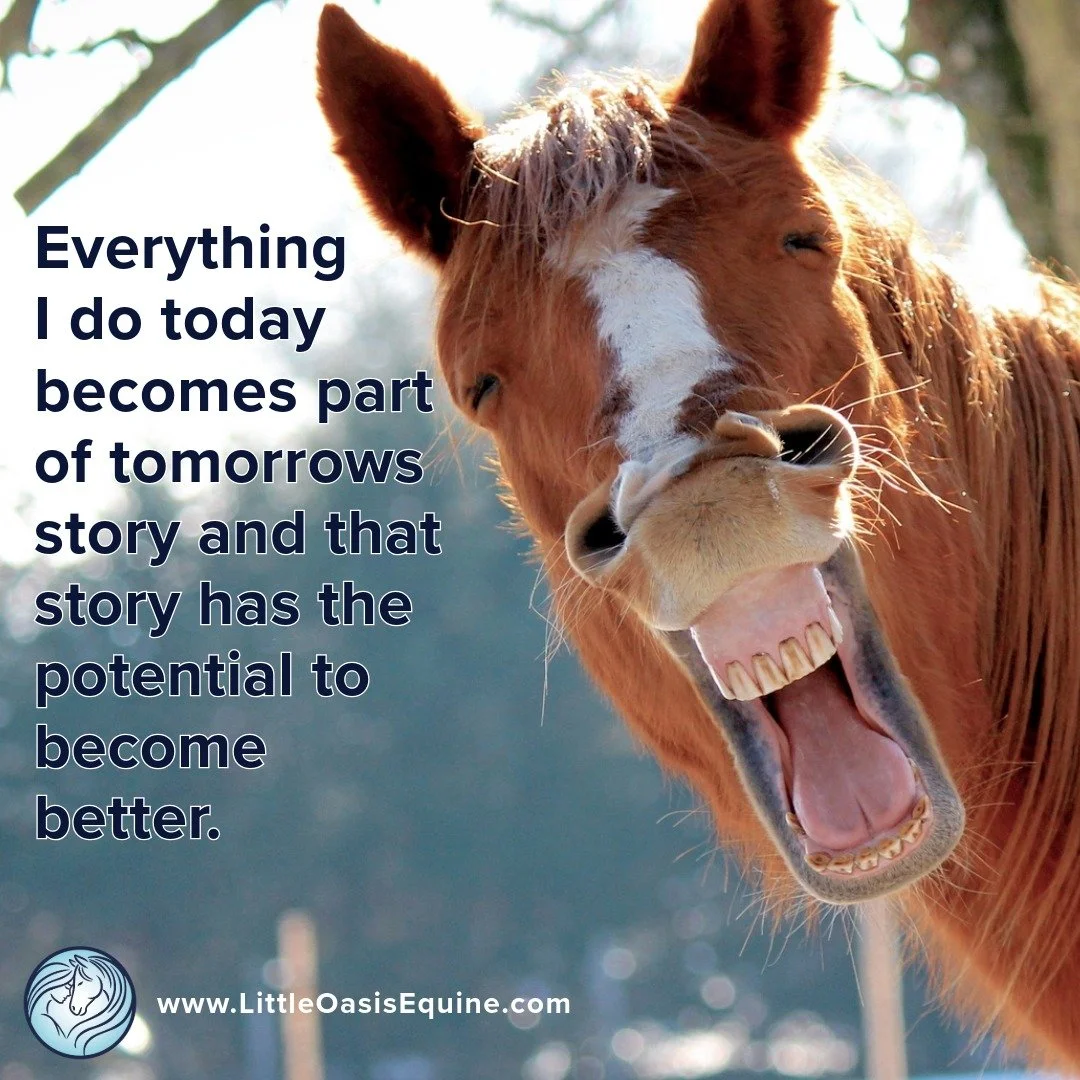 #truestory 🥰🐴