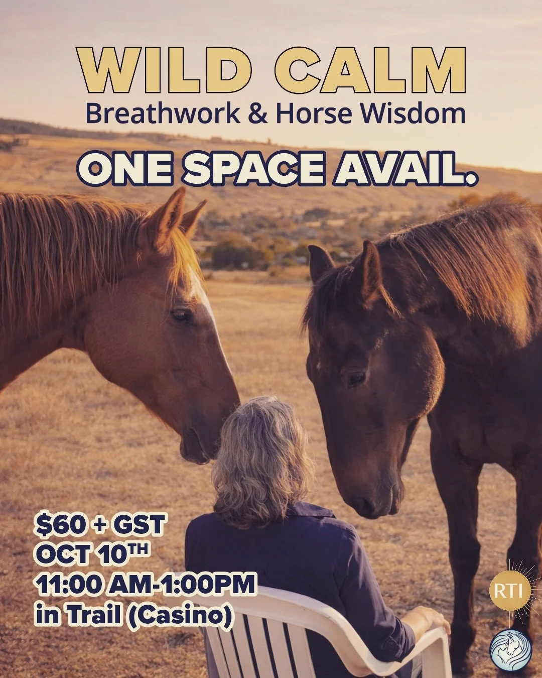We've had one space open up for this Saturday's Wild Calm Breathwork with Stacey of @right.through.it ... a wonderful opportunity for YOU to take some space in a beautiful outdoor space and reconnect with yourself and your breath while the horses sup