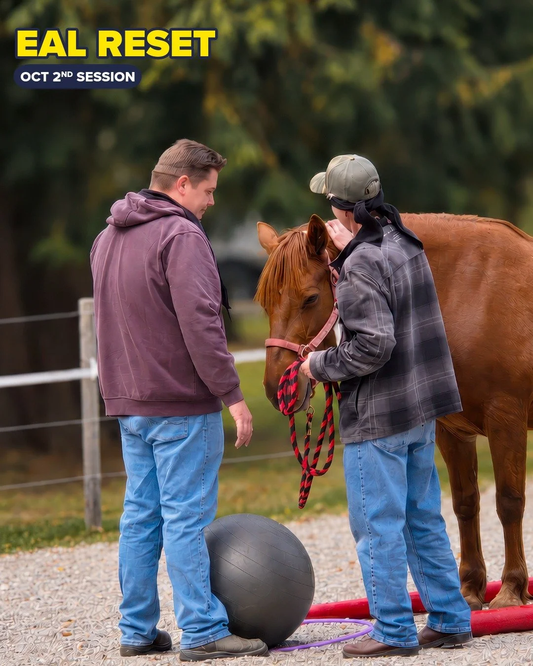 💛 Join us November 6 for a FREE EAL RESET session.

Our first session on October 2 went well, with many participants commenting on how subtle but powerful the learning was with the horses.

Our communities rely on people who step into high-pressure 
