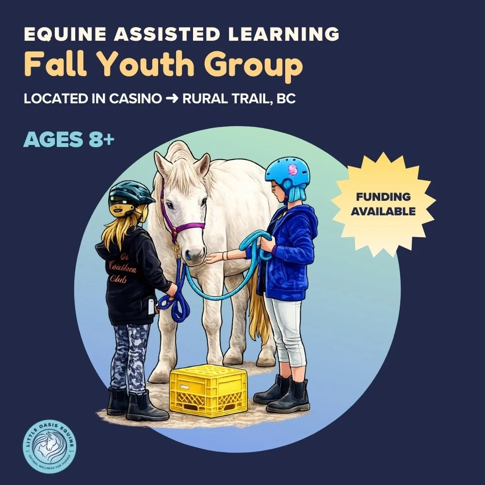 cartoon of 2 girls with a white horse attending equine assisted learning