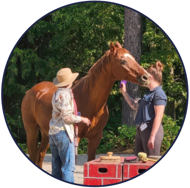 two women experiencing equine assisted learning grooming station with a horse
