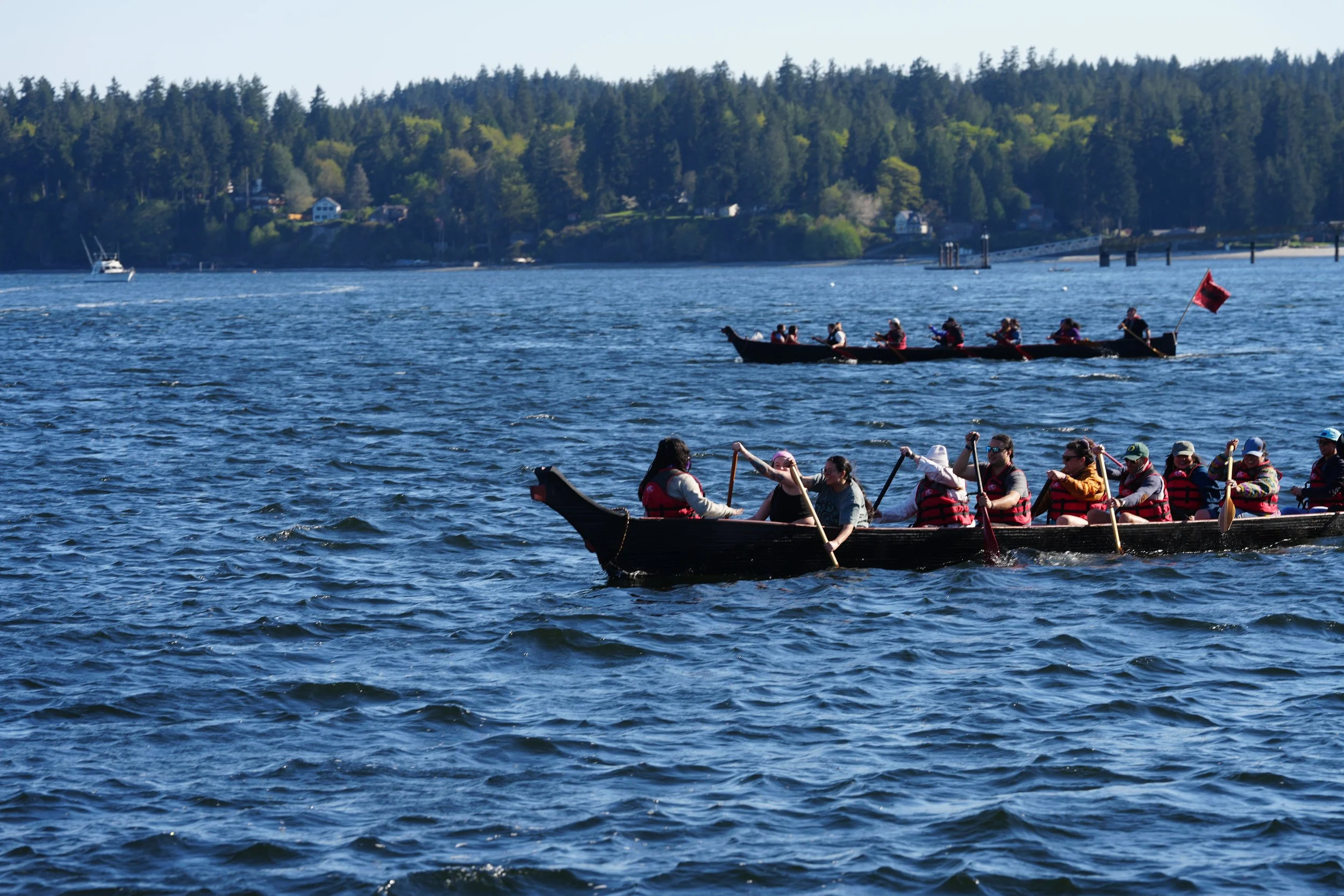 Copy of DSC07310.JPG