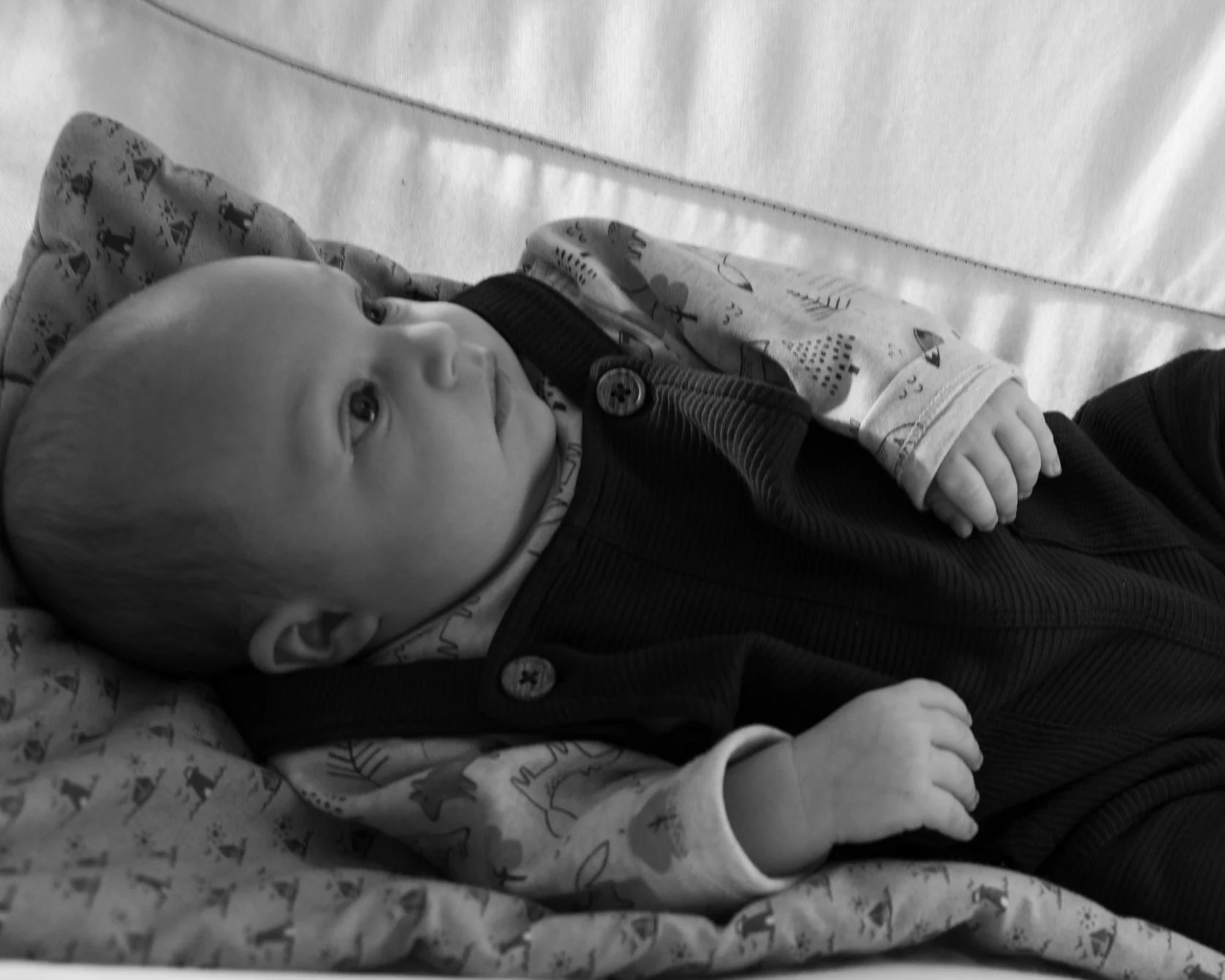 Babybilder