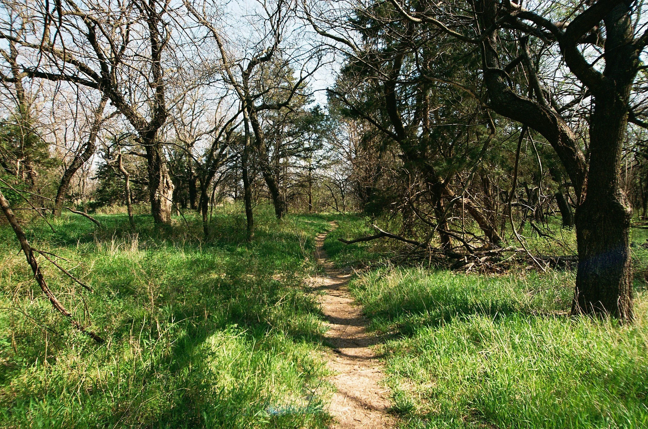 What Is Nervous System Regulation—and Why It Matters in Trauma Healing