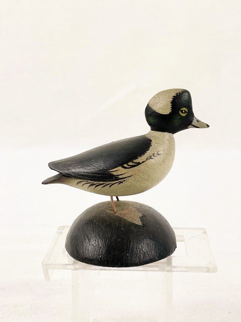 Elmer Crowell Bufflehead-1.jpeg