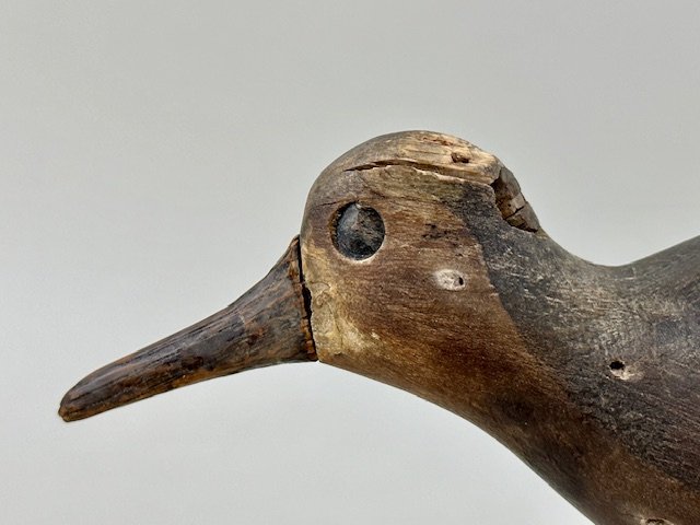 Cobb Island Robin Snipe-2.jpg