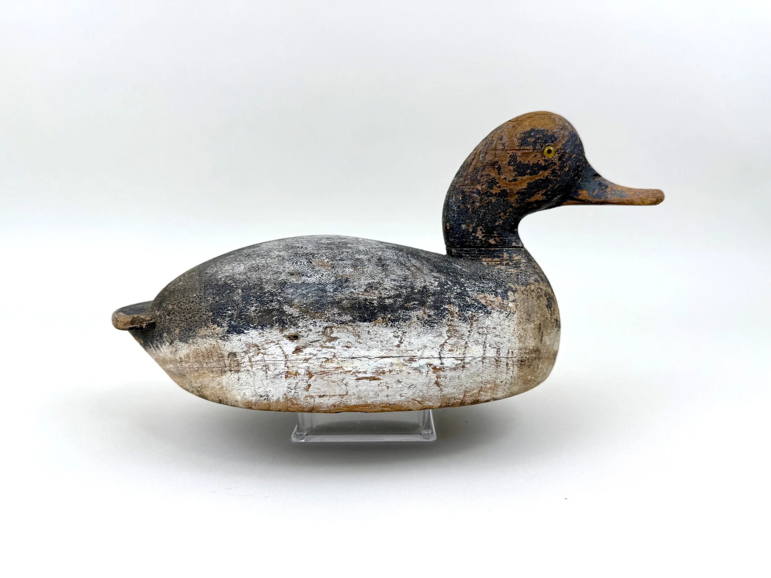 Hank Catton Drake Bluebill