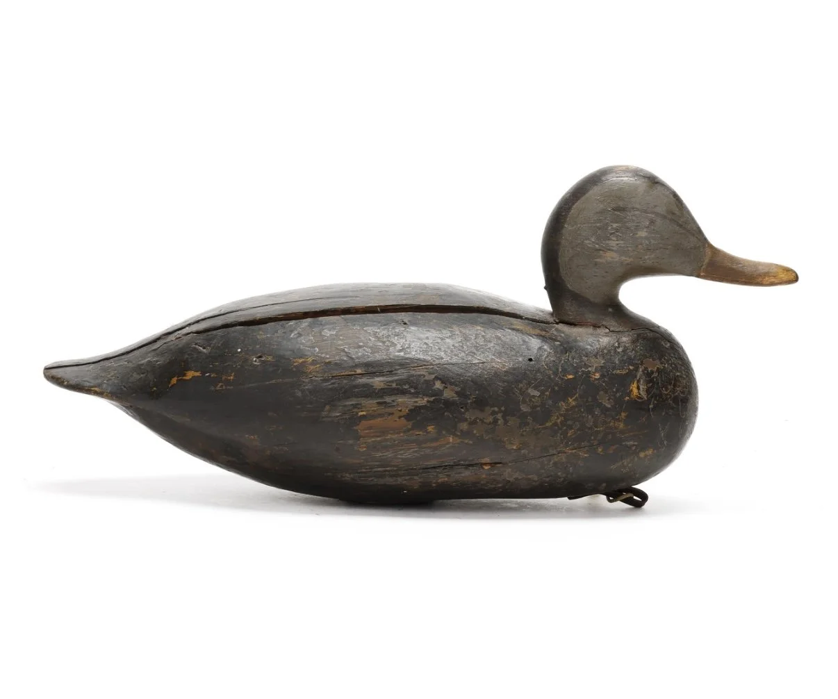 Ira Hudson Black Duck