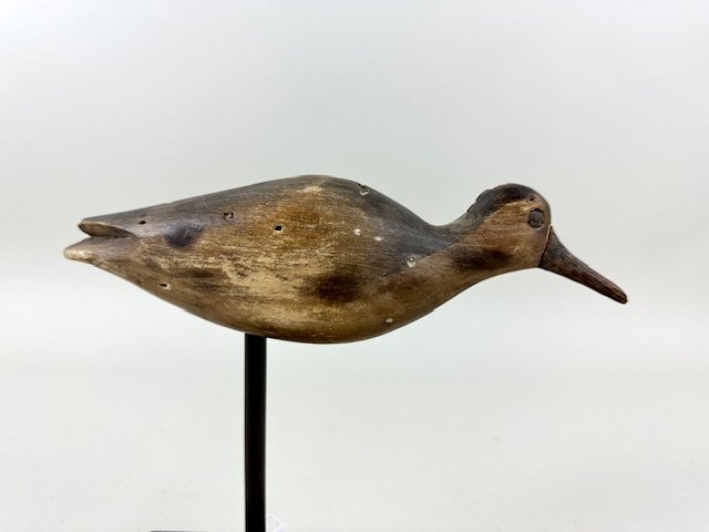 Cobb Island Robin Snipe