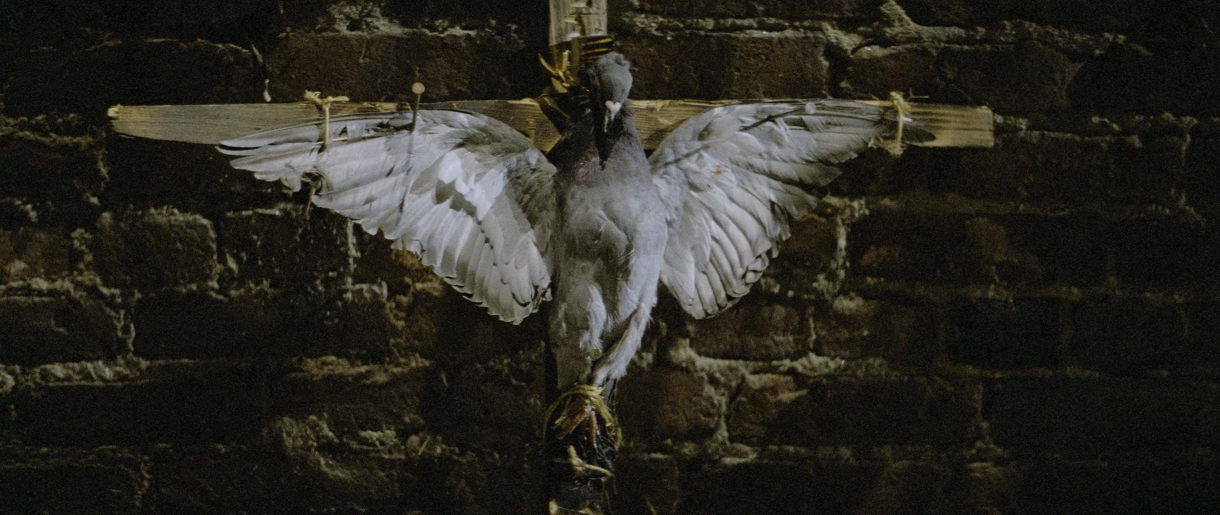 BFCLLOWEEN: Prince of Darkness (1987)