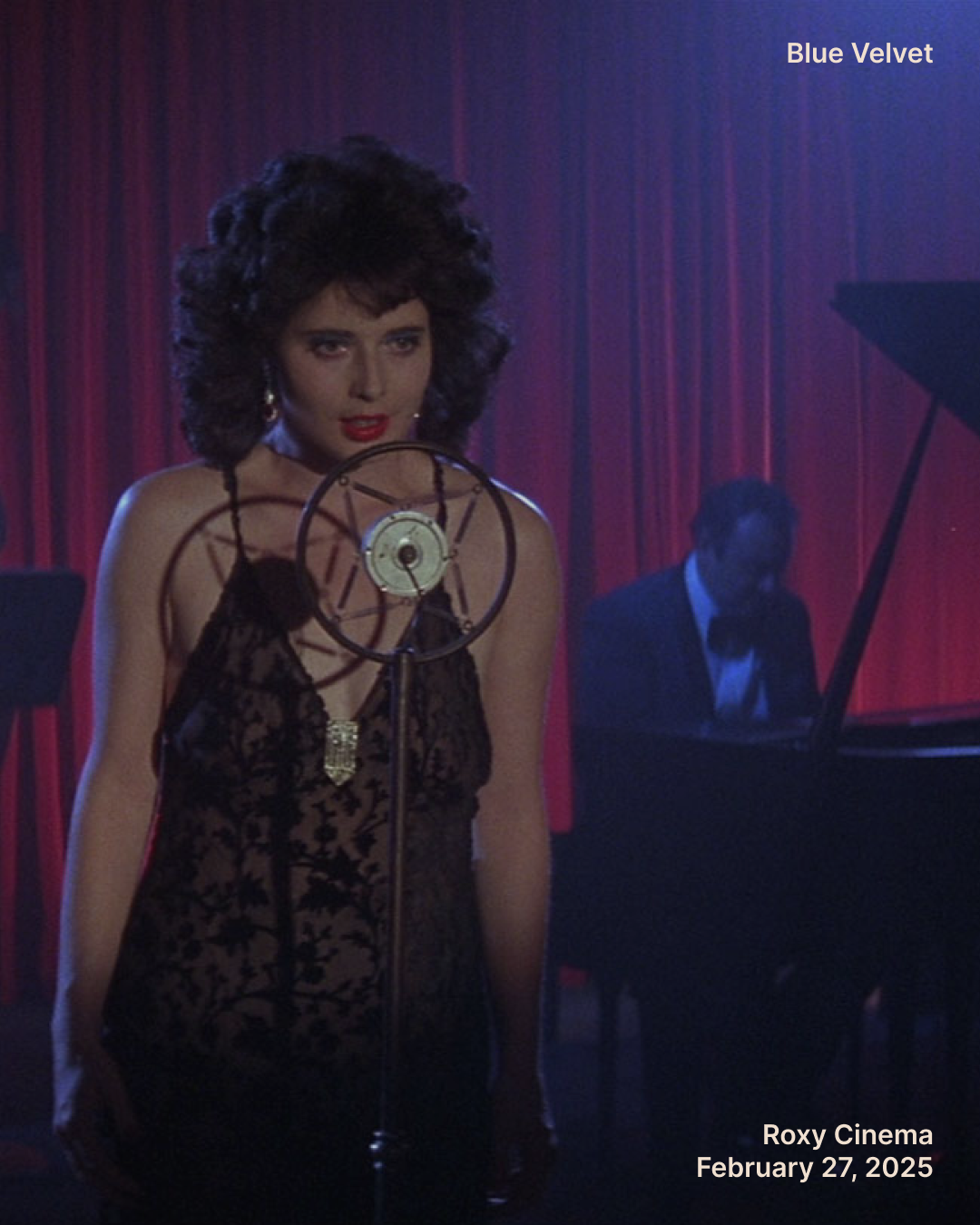 Web - Blue Velvet.png