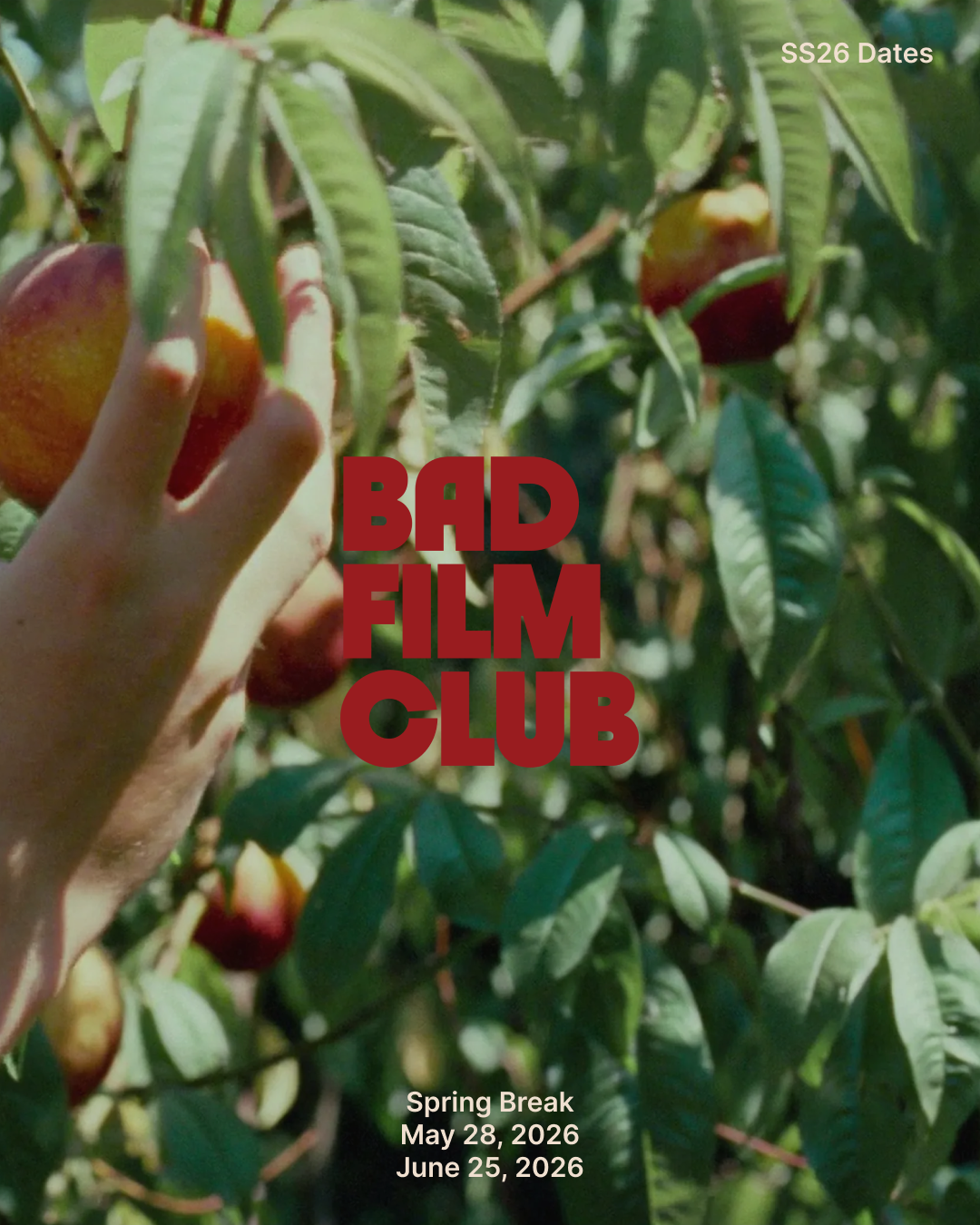 Web - Q2 Dates (2).png