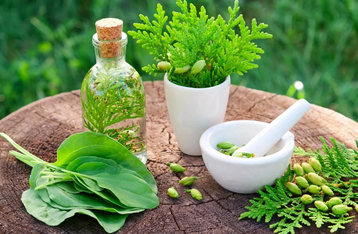 Ayurveda Herbalism: Ancient Wisdom for Modern Healing