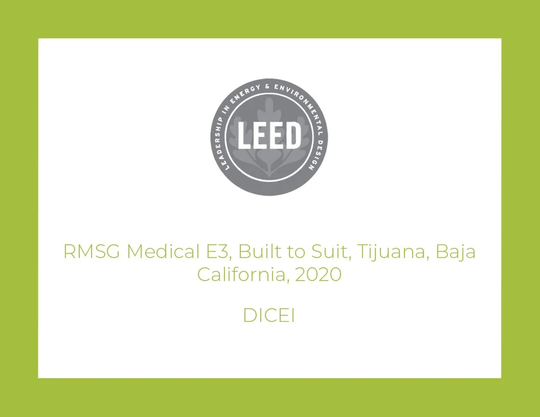 RMSG Medical E3.jpg