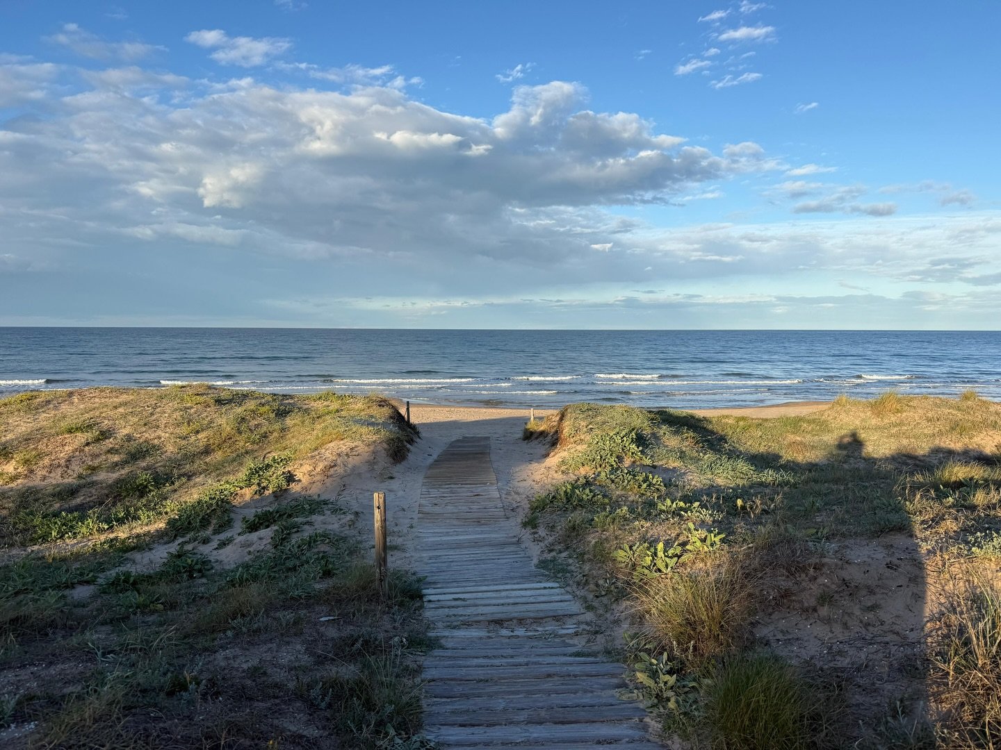 Whether you come to the region for the beach or Fallas, Oliva is always &ldquo;espectacular&rdquo;! 

Si vienes a por la playa o Fallas, Oliva siempre est&aacute; &ldquo;espectacular&rdquo;. 

#olivaplaya #oliva #fallas