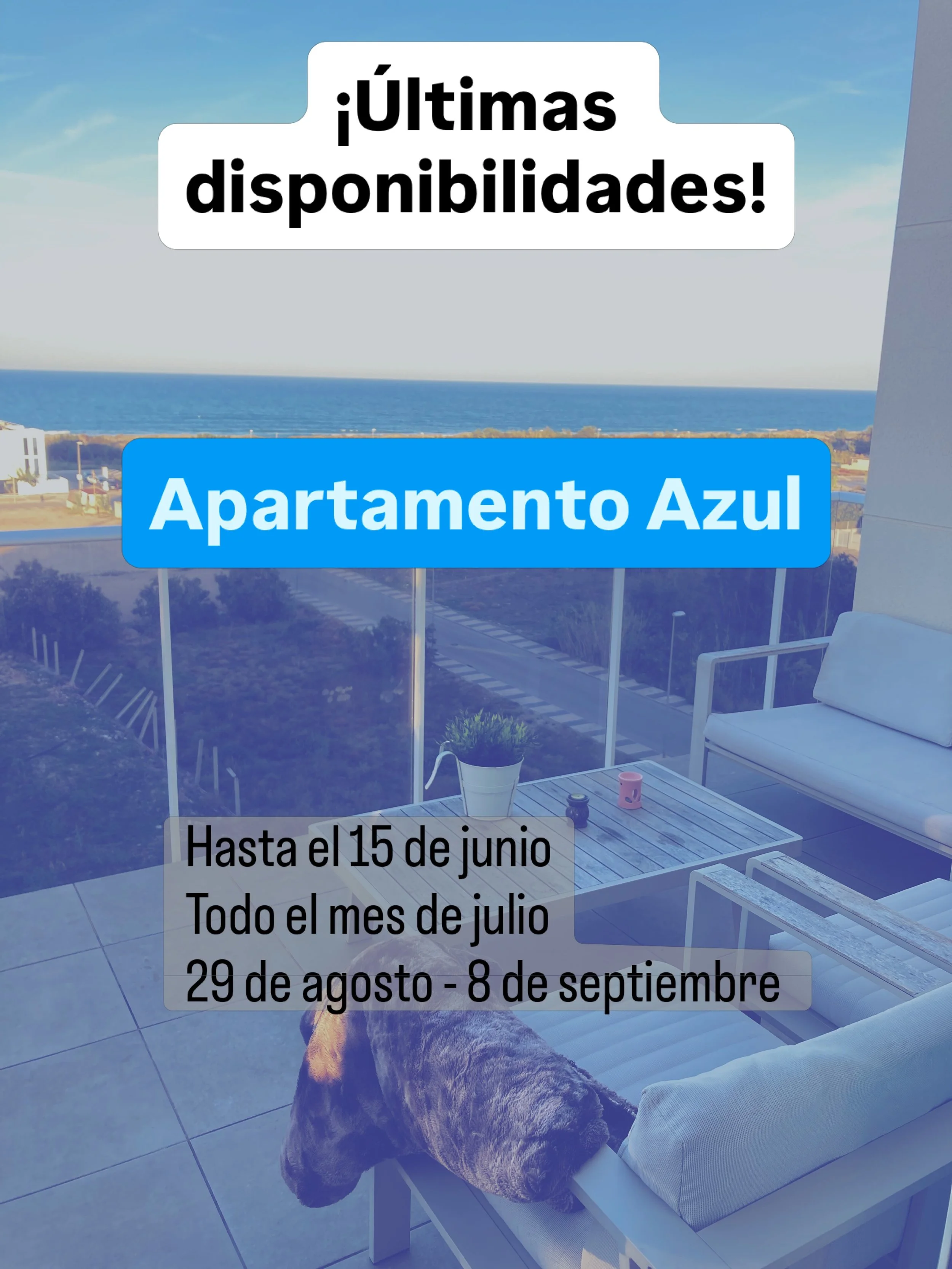 A&uacute;n sin planes para este verano? &iexcl;No busques m&aacute;s! Solo quedan algunas fechas en nuestros apartamentos m&aacute;s exclusivos a solo unos pasos del mar. &iexcl;Es tu oportunidad de escaparte al para&iacute;so! 👇

🔹 Apartamento Azu
