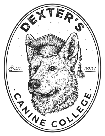Dexter's Canine College