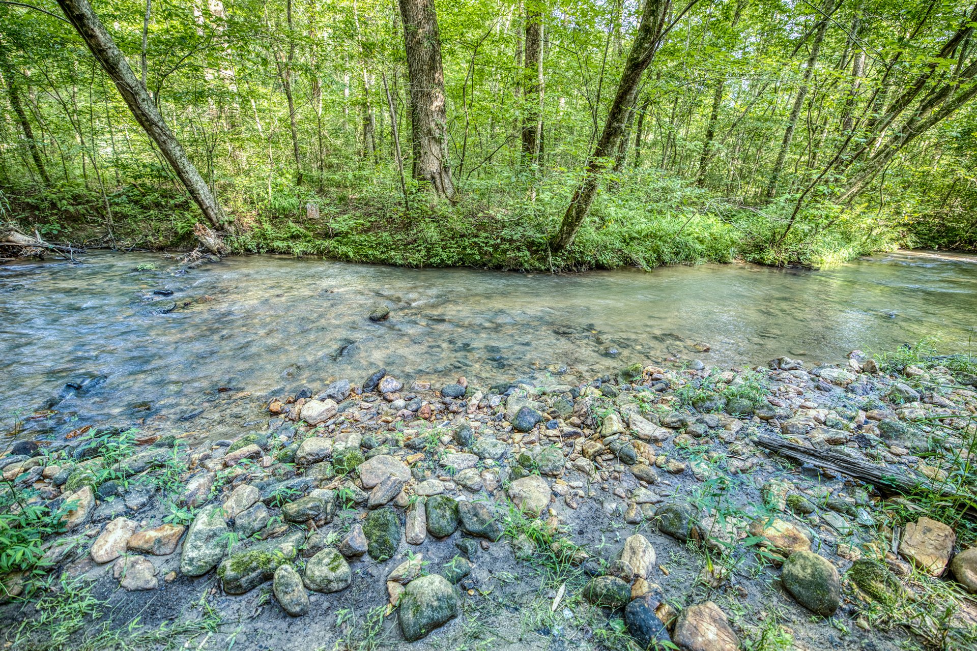 A clear stream flowing through a lush green forest with rocks along the bank.